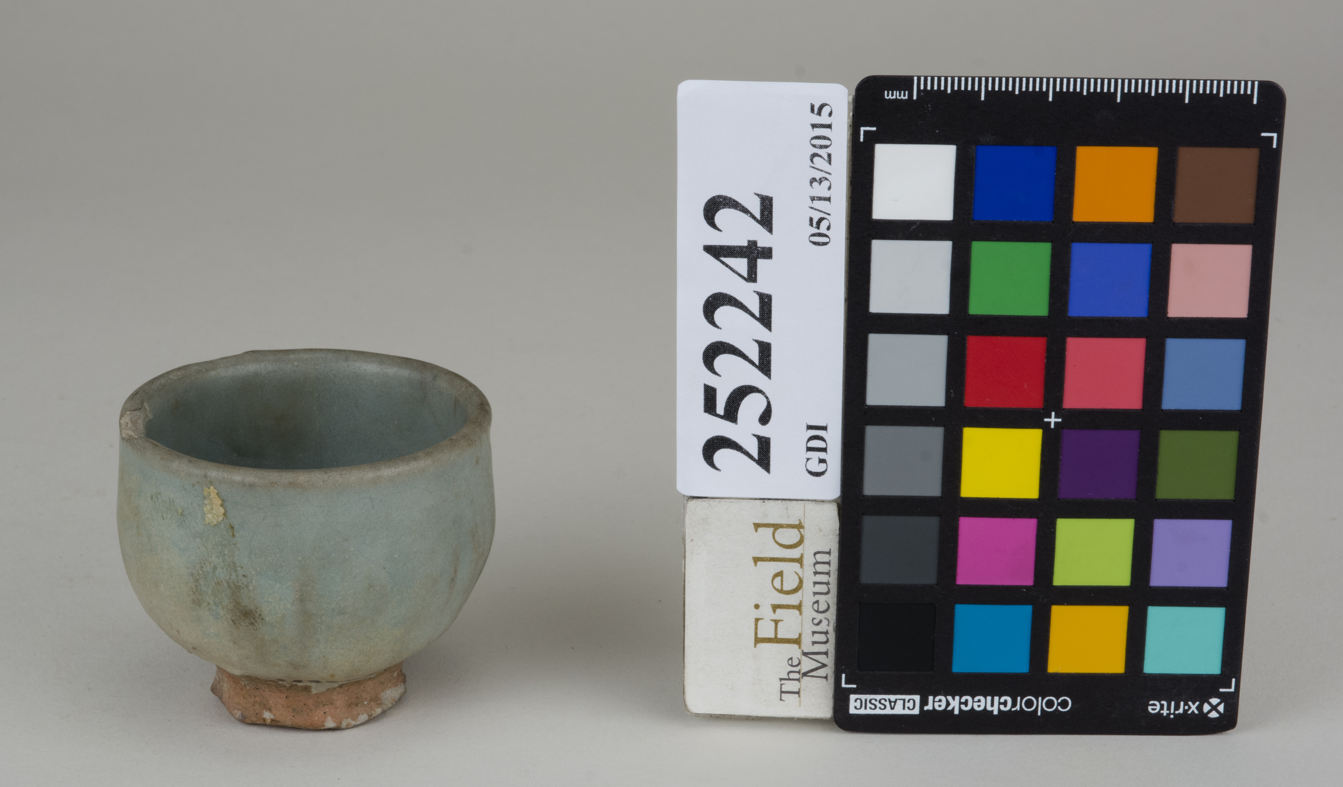 FrontAngle (c) Field Museum of Natural History - CC BY-NC 4.0