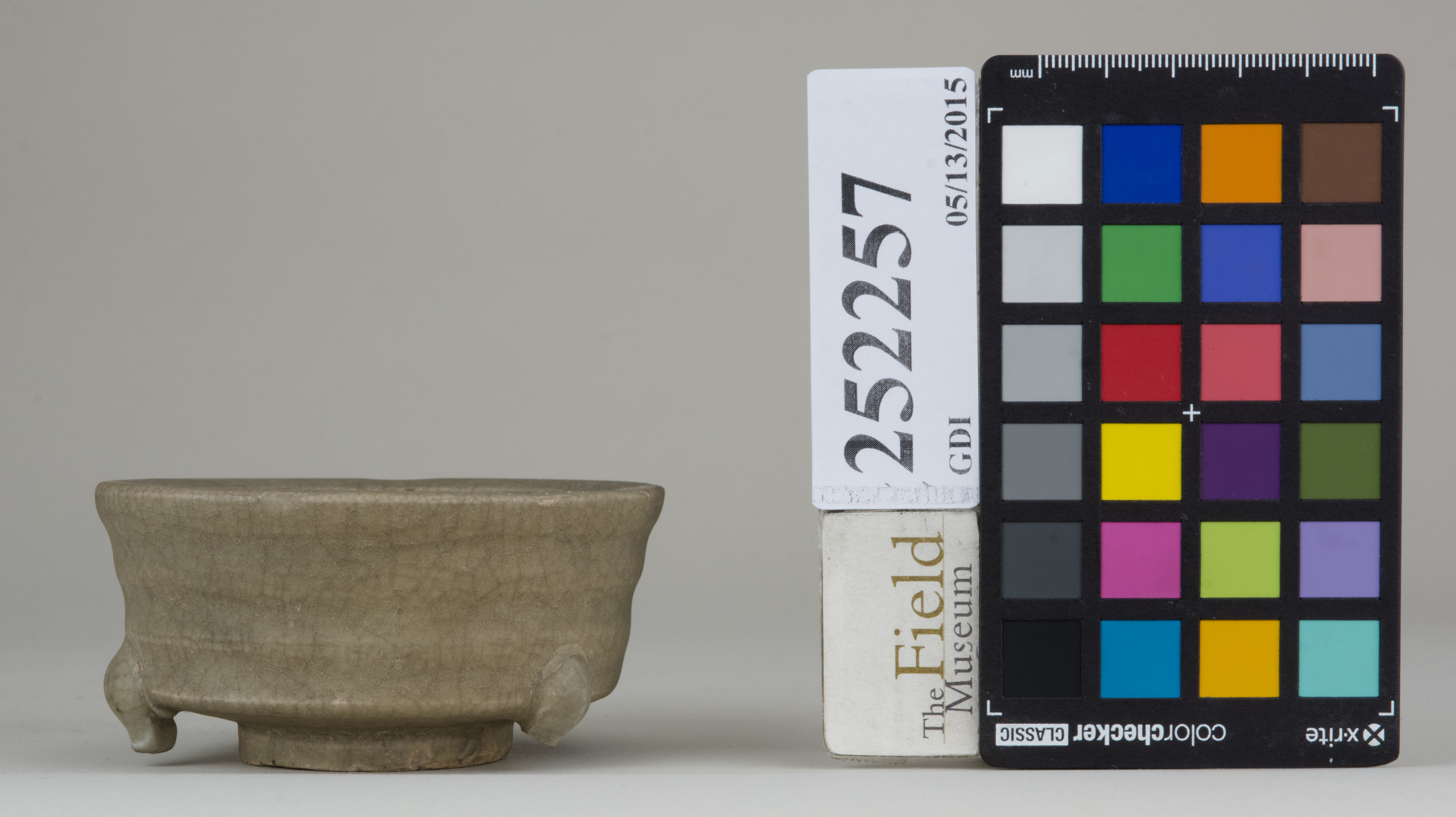 reference image, back (c) Field Museum of Natural History - CC BY-NC 4.0