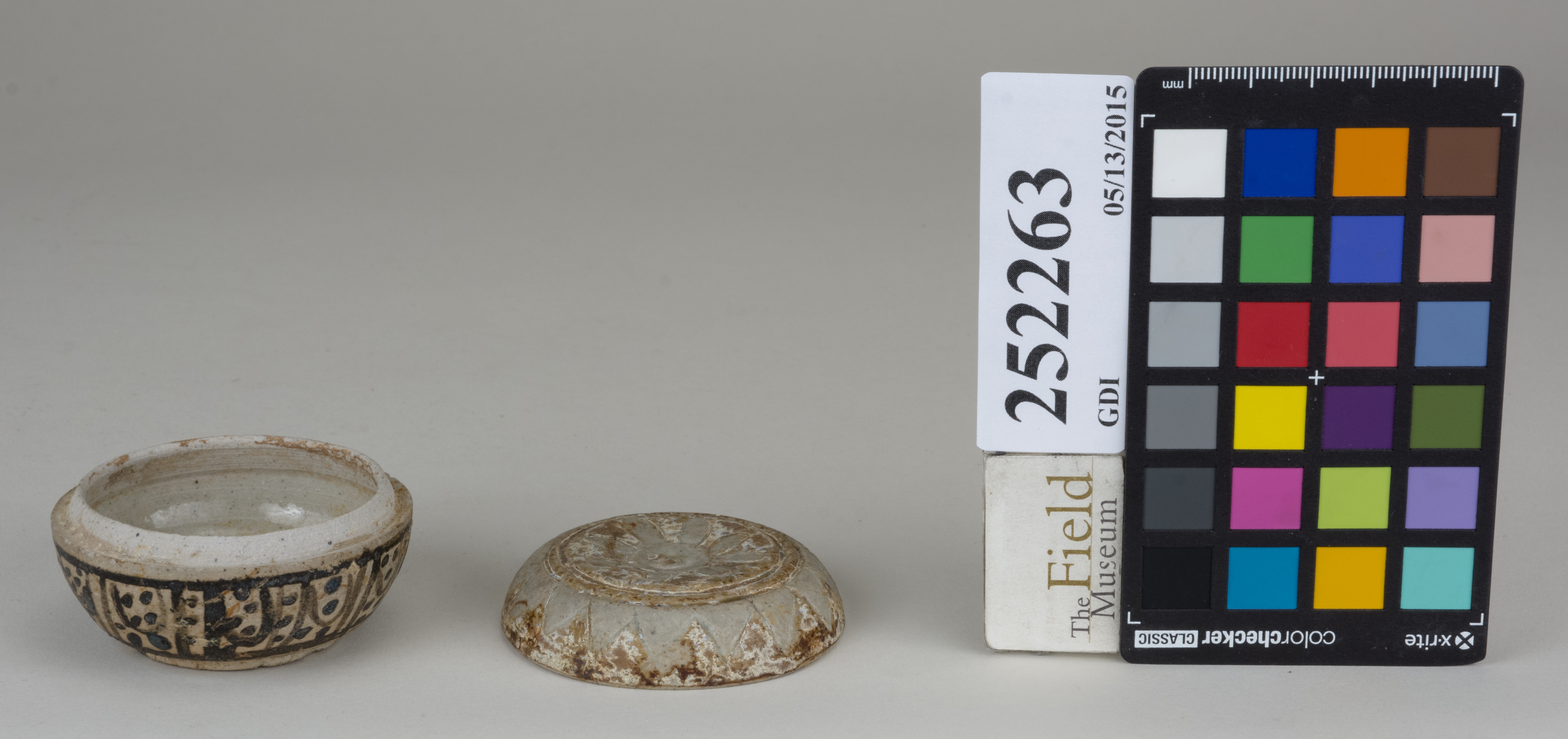 ParentFrontAngle (c) Field Museum of Natural History - CC BY-NC 4.0