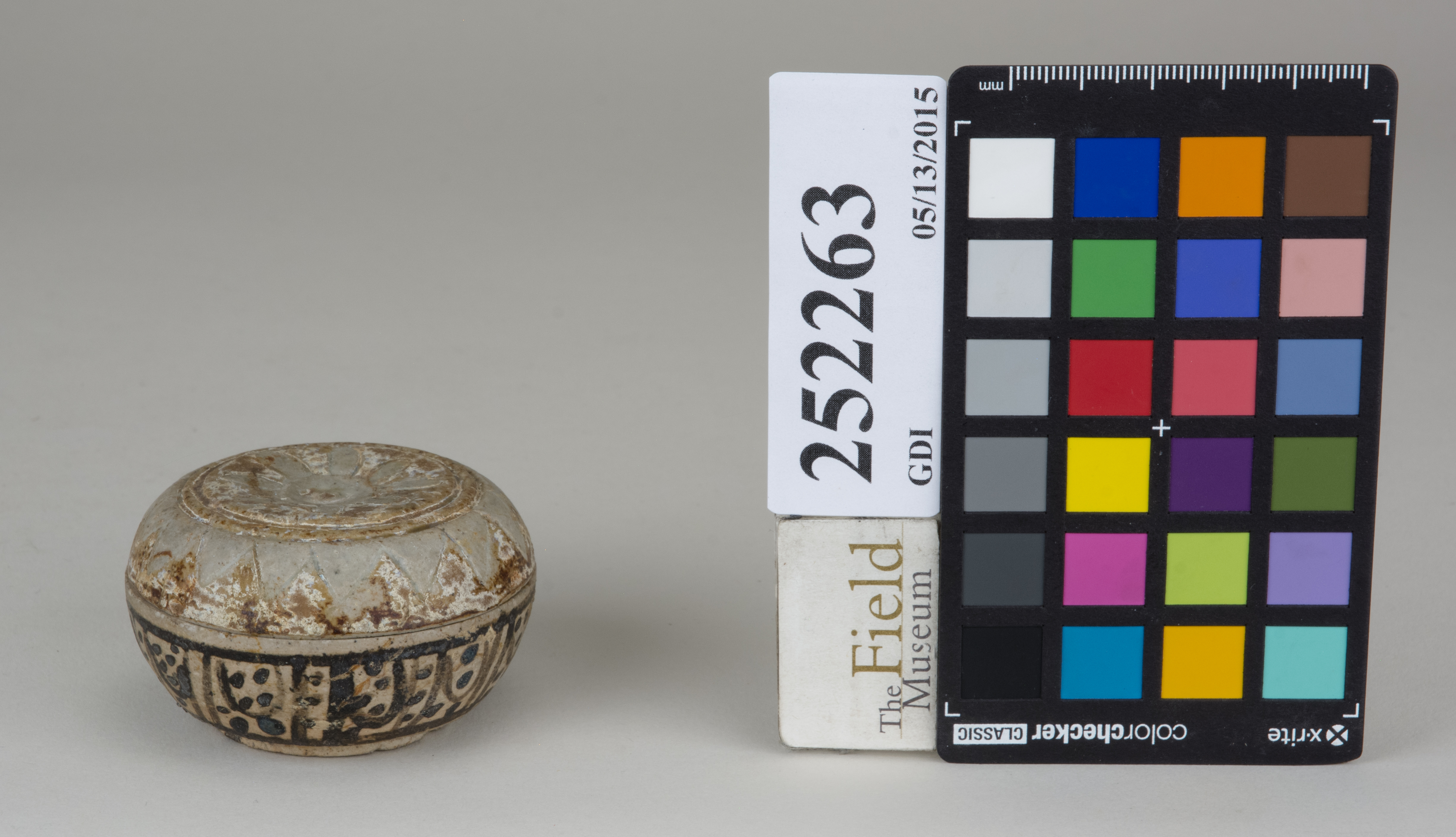 ParentFrontAngleTogether (c) Field Museum of Natural History - CC BY-NC 4.0