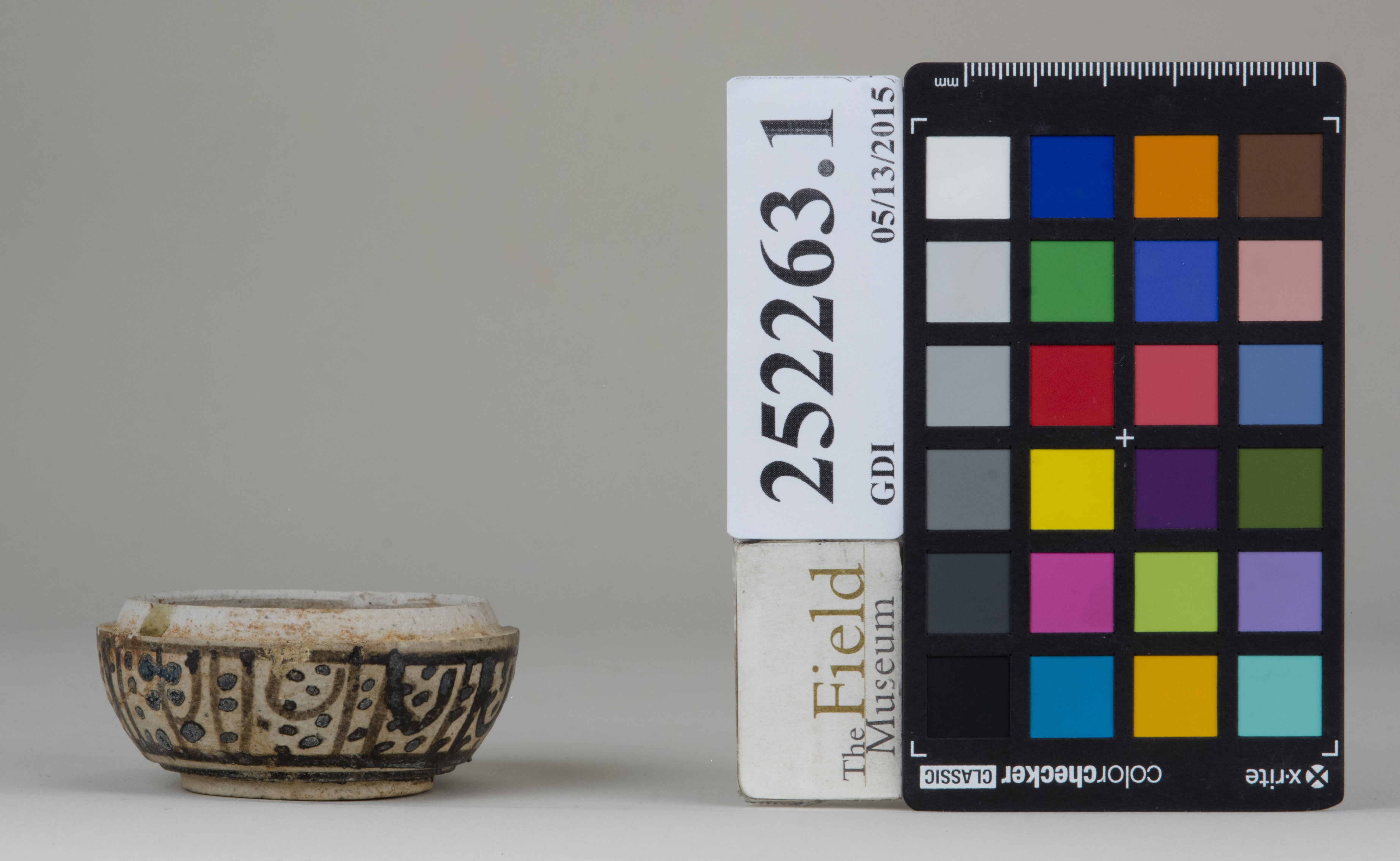 reference image, back (c) Field Museum of Natural History - CC BY-NC 4.0