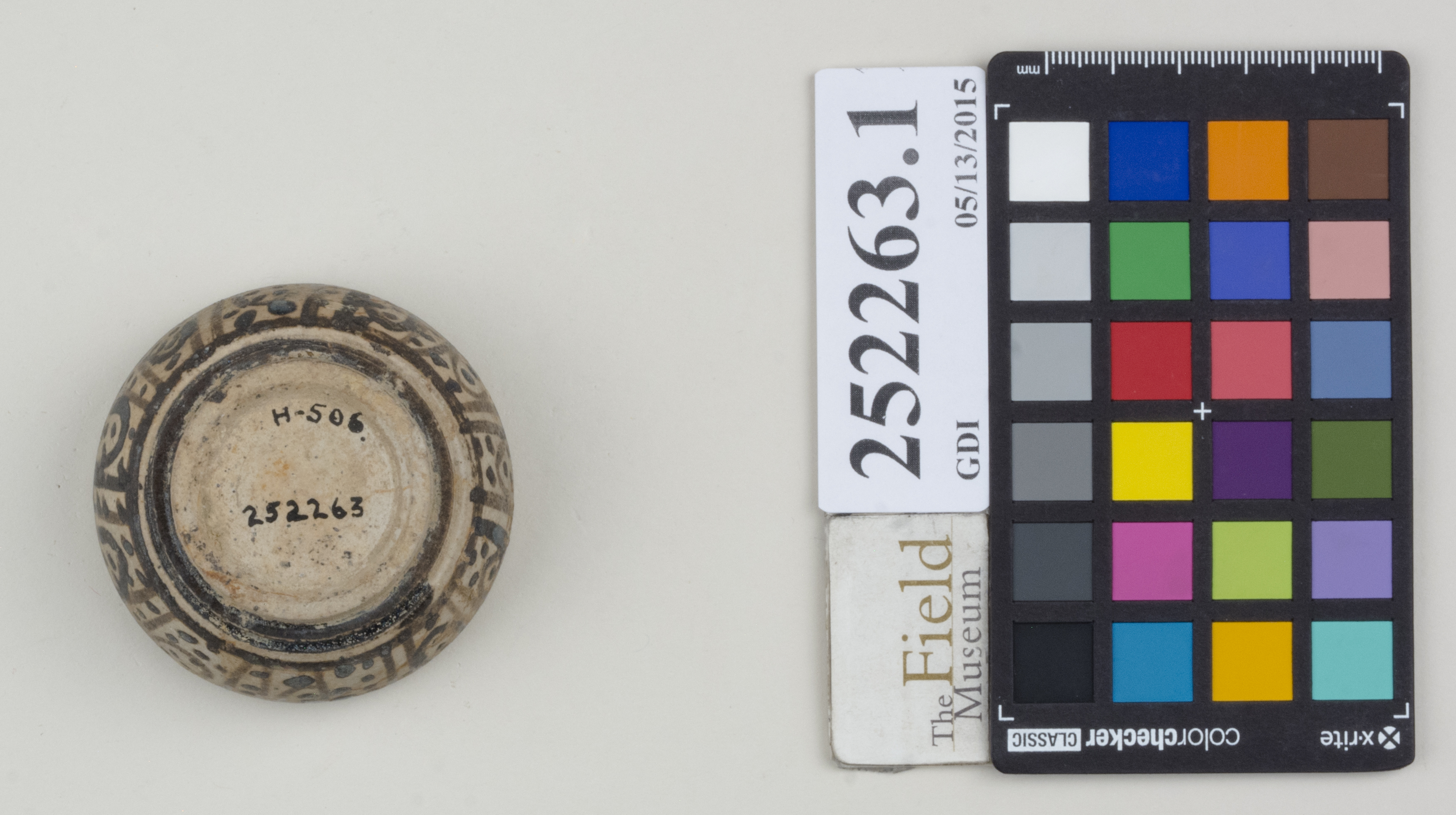 Bottom (c) Field Museum of Natural History - CC BY-NC 4.0