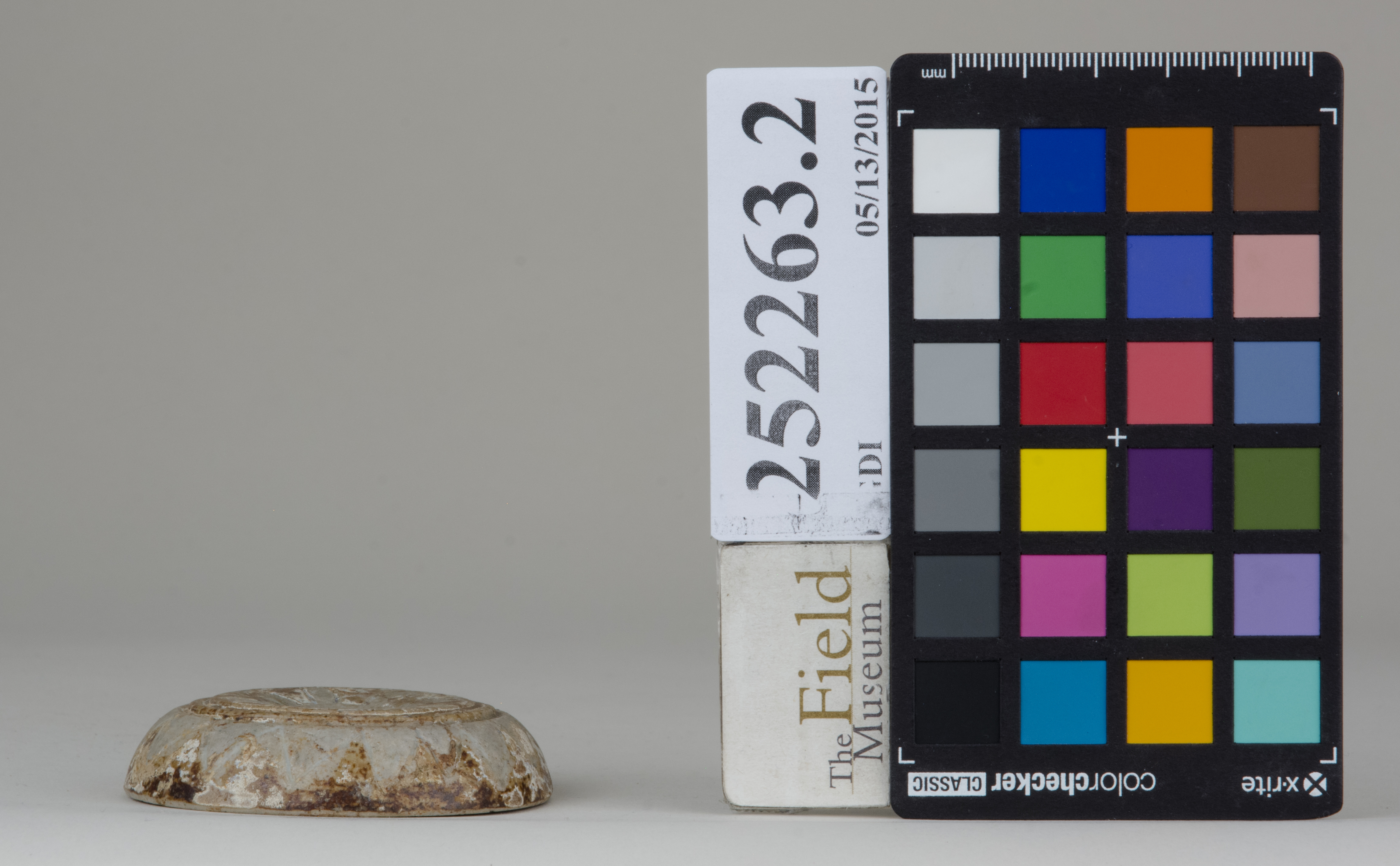 reference image, back (c) Field Museum of Natural History - CC BY-NC 4.0