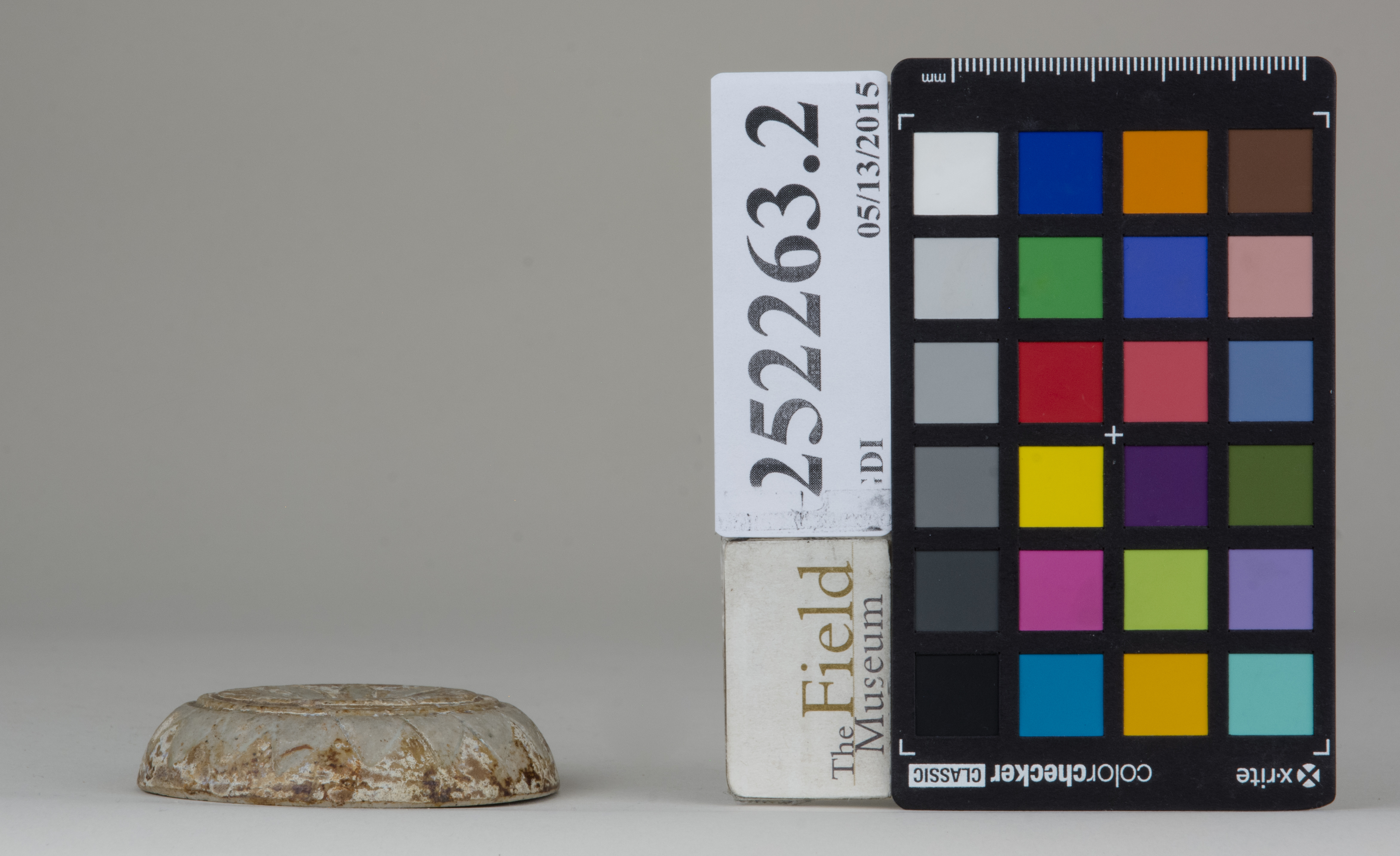 Front (c) Field Museum of Natural History - CC BY-NC 4.0