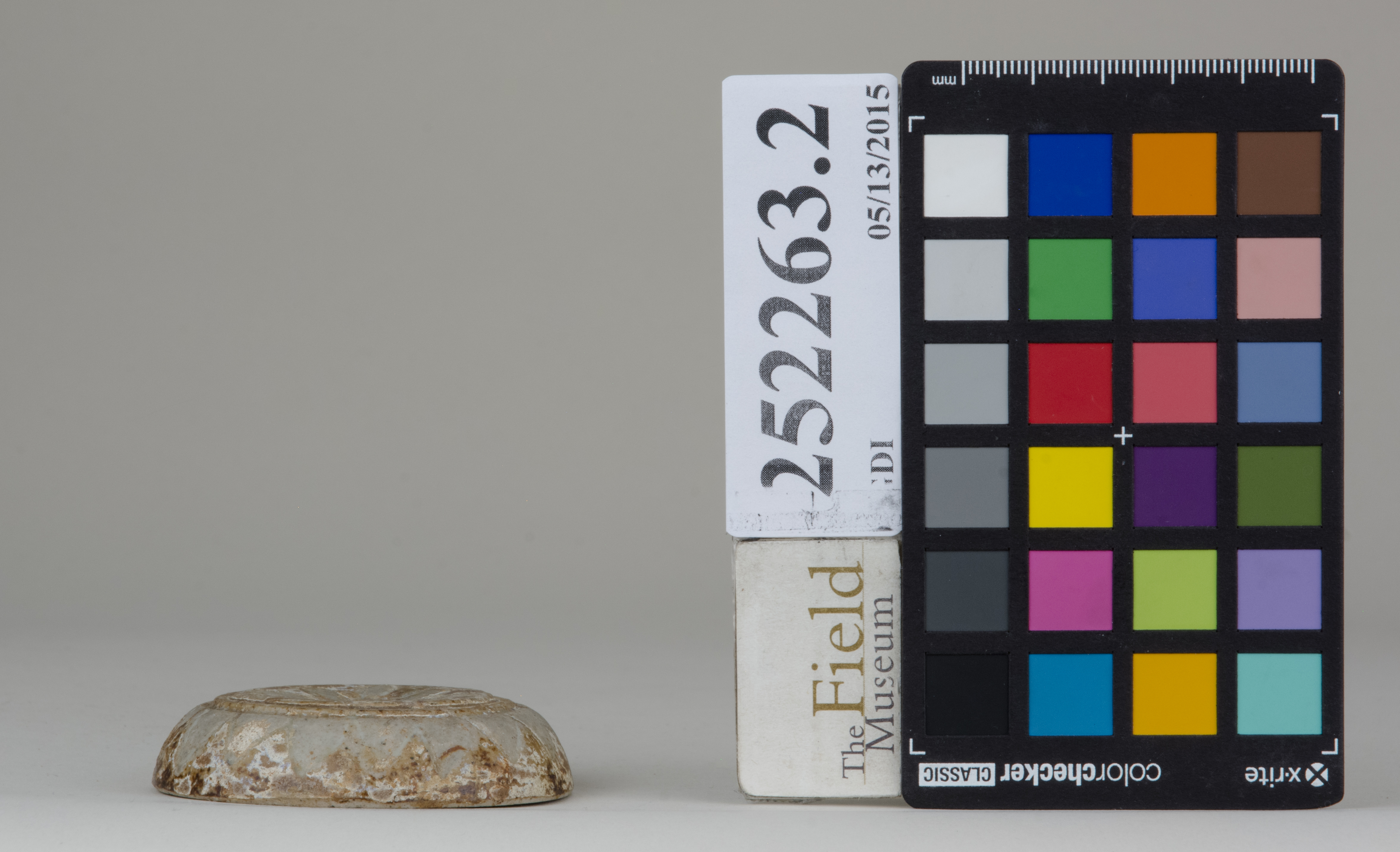 Right (c) Field Museum of Natural History - CC BY-NC 4.0