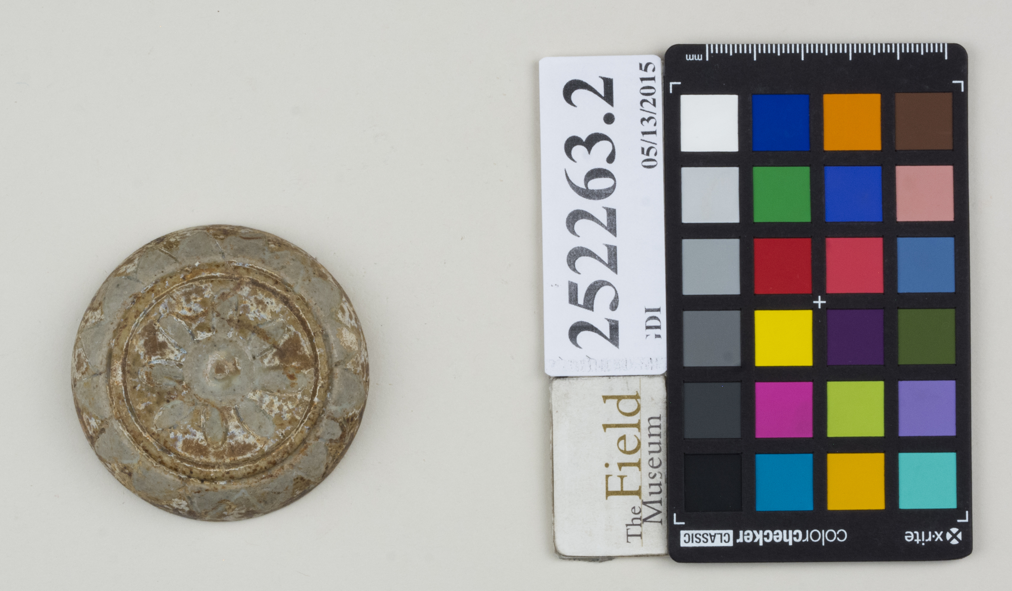 Top (c) Field Museum of Natural History - CC BY-NC 4.0