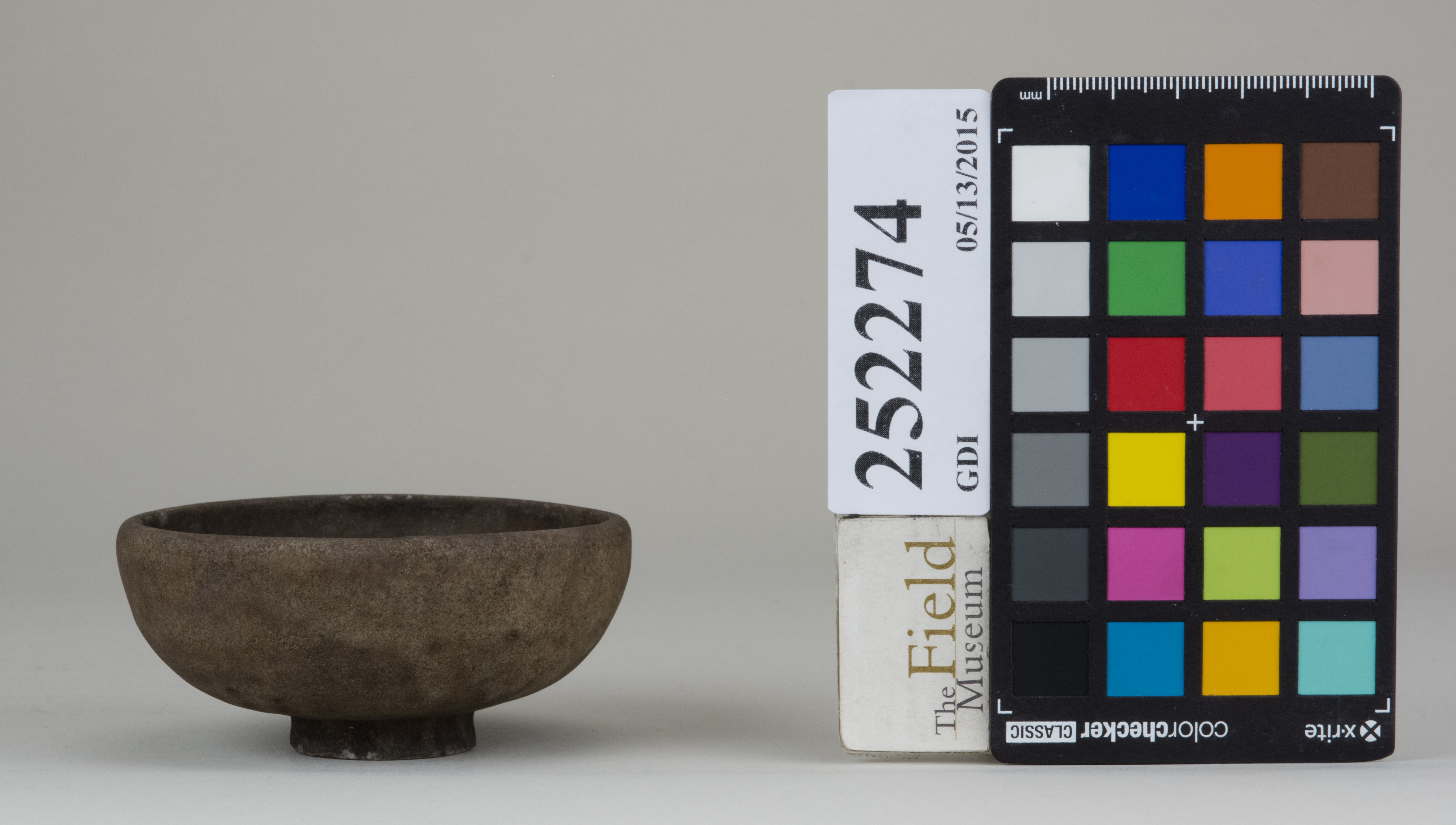 reference image, back (c) Field Museum of Natural History - CC BY-NC 4.0