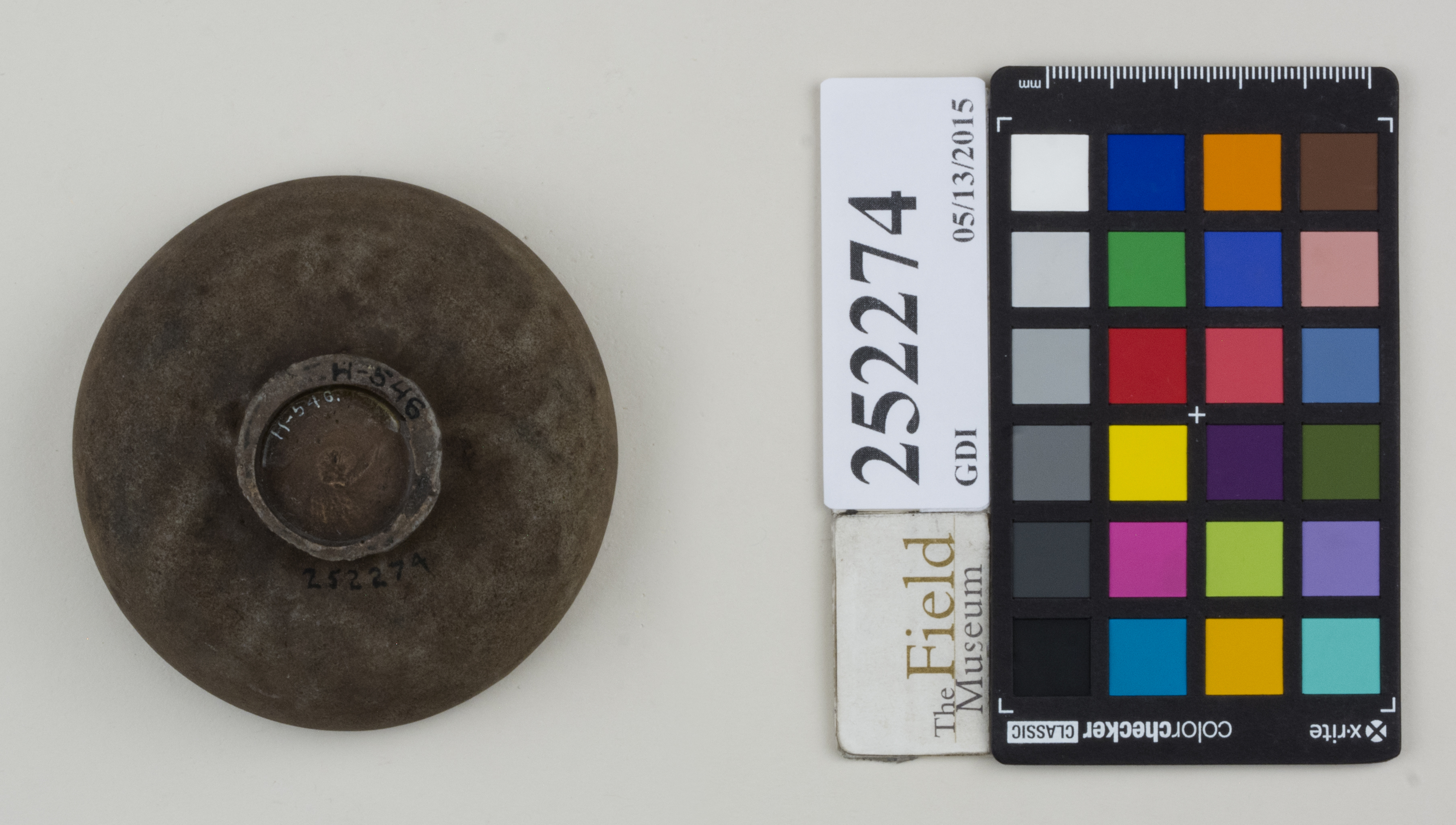 Bottom (c) Field Museum of Natural History - CC BY-NC 4.0