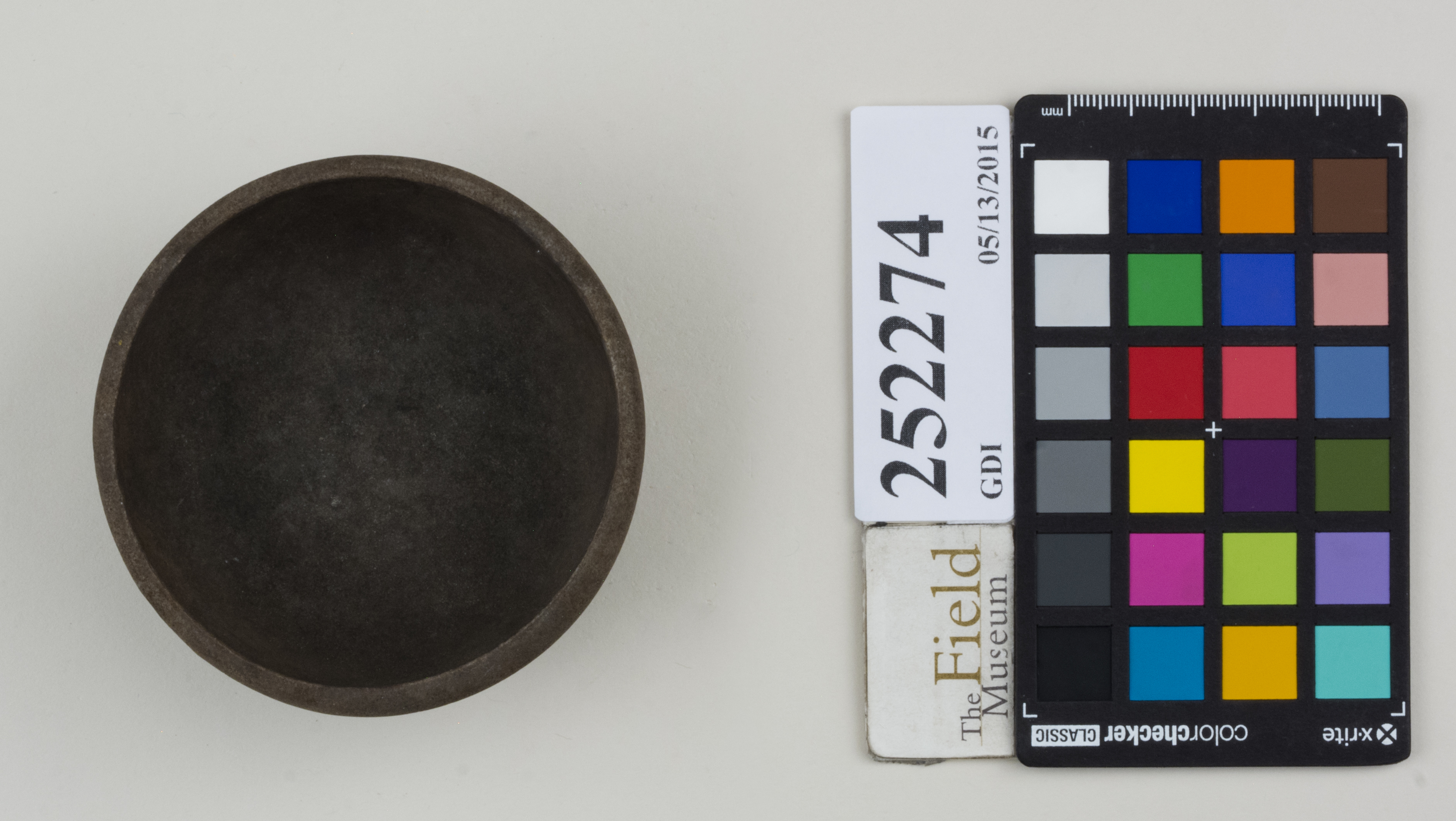 Top (c) Field Museum of Natural History - CC BY-NC 4.0