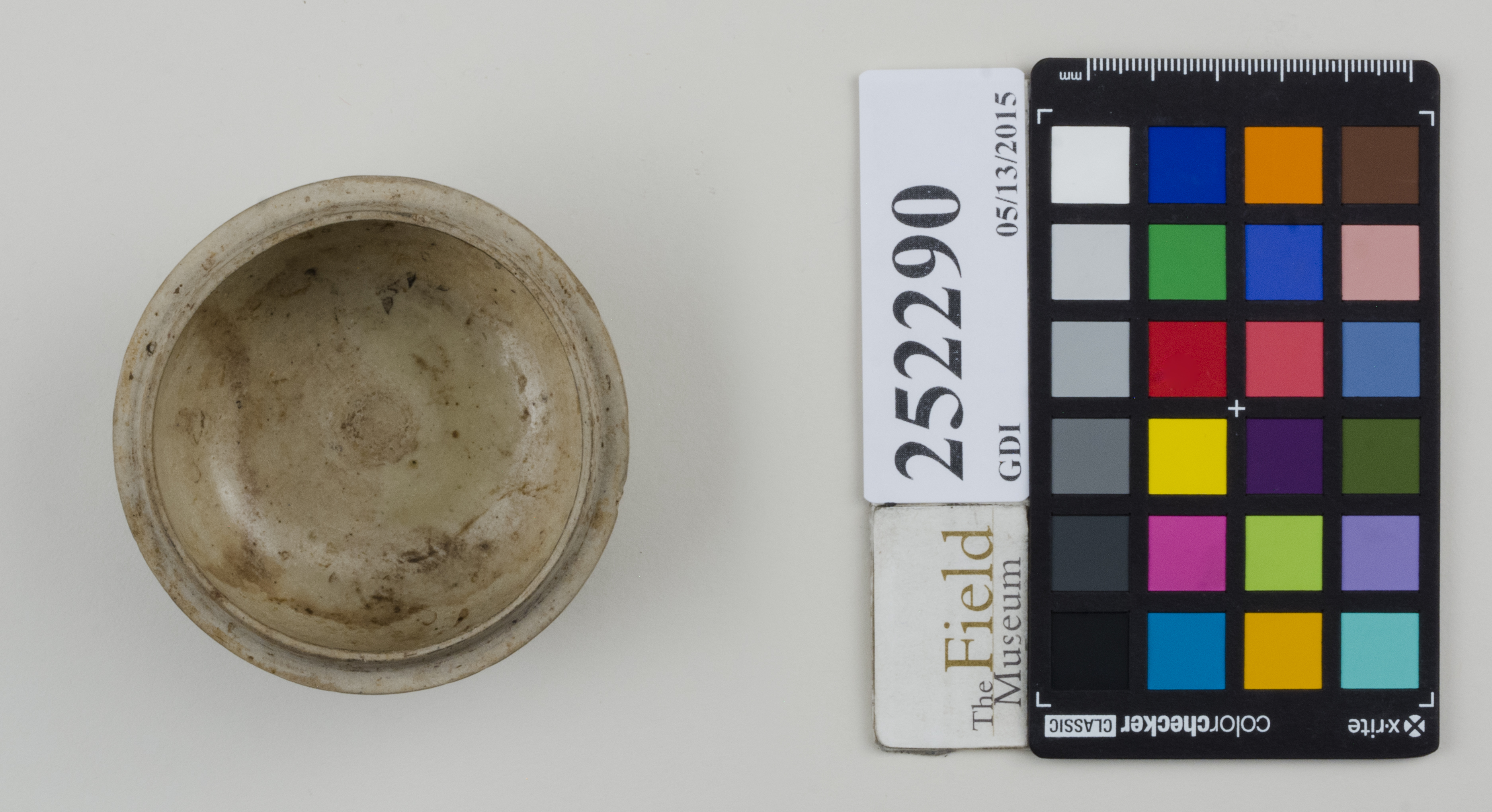 Top (c) Field Museum of Natural History - CC BY-NC 4.0