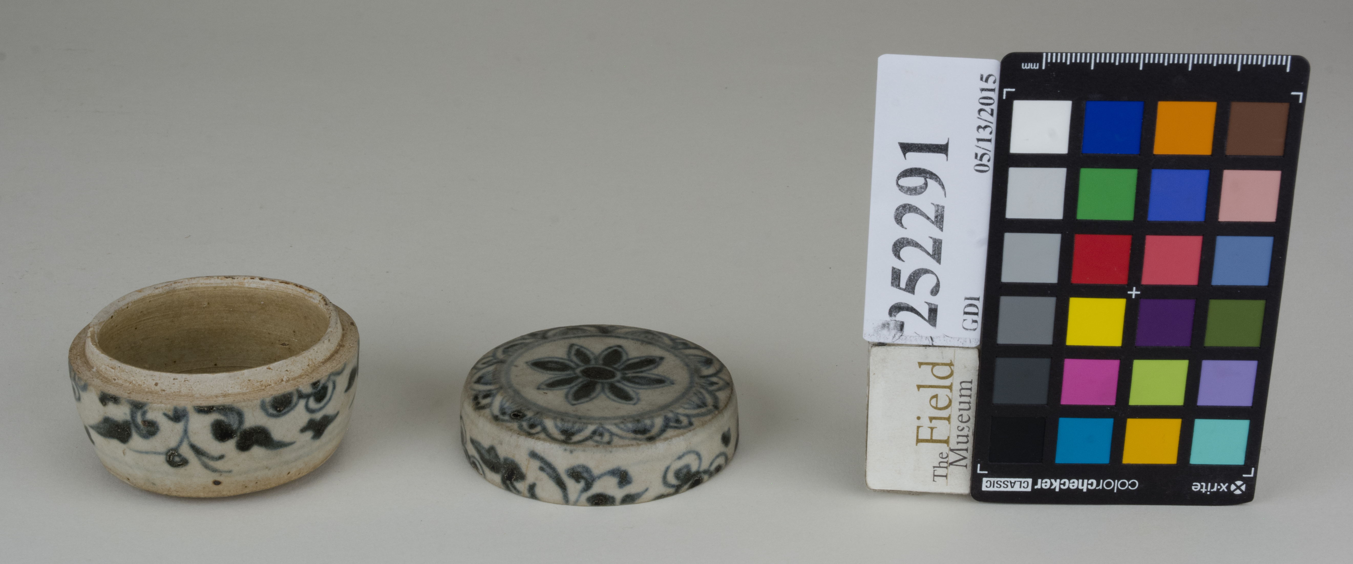 ParentFrontAngle (c) Field Museum of Natural History - CC BY-NC 4.0