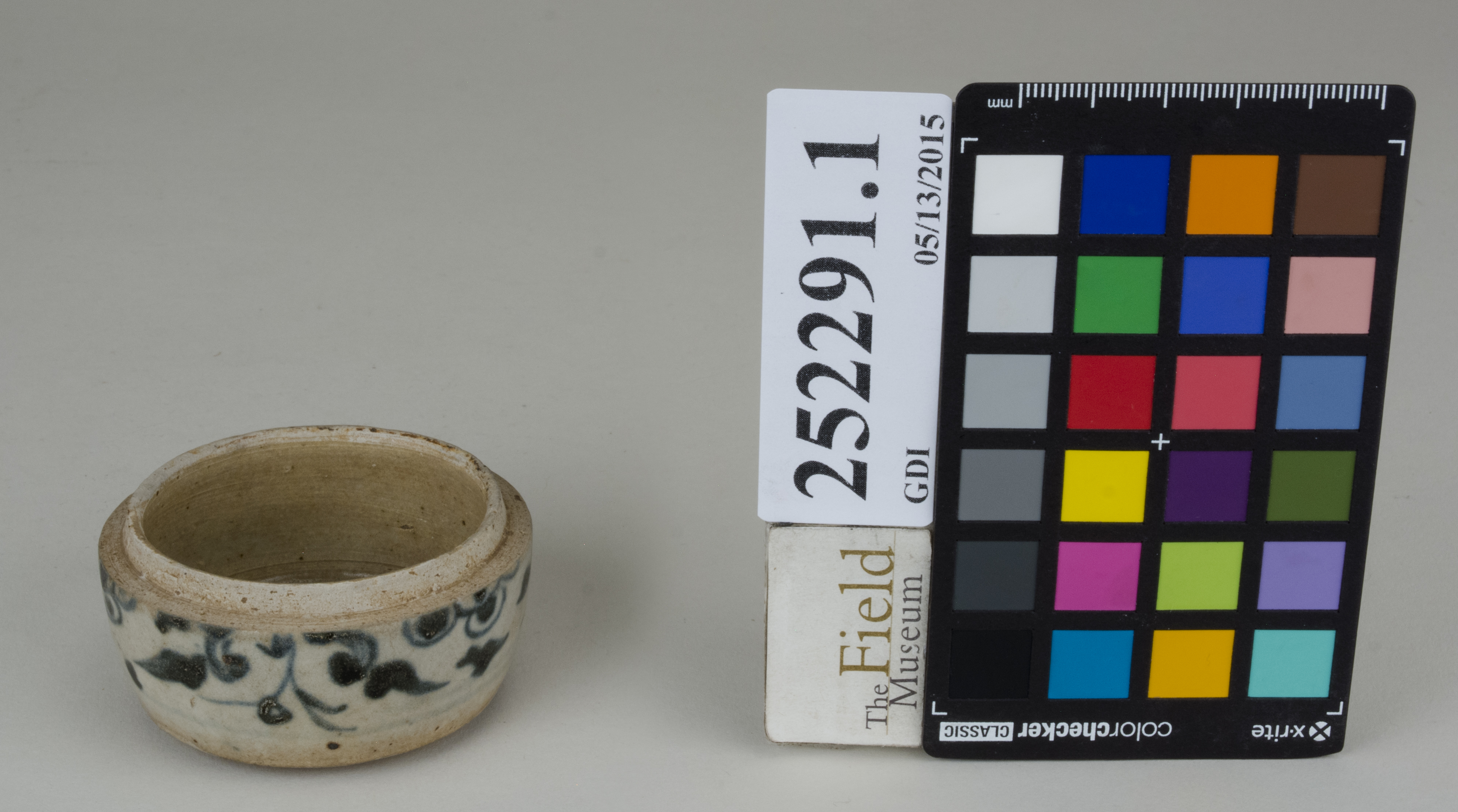 FrontAngle (c) Field Museum of Natural History - CC BY-NC 4.0