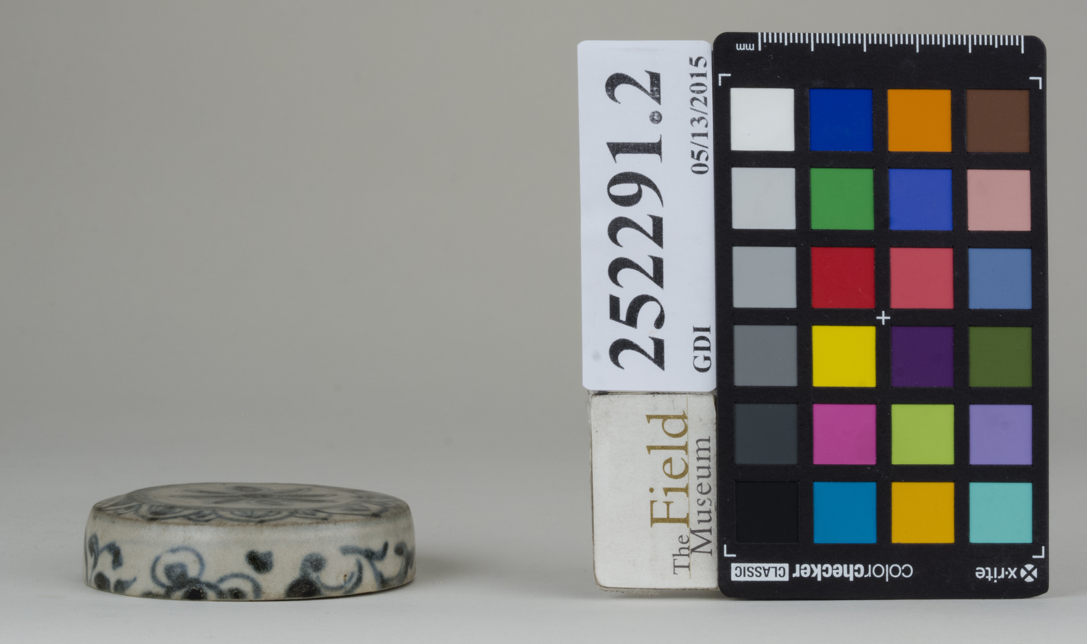 reference image, back (c) Field Museum of Natural History - CC BY-NC 4.0