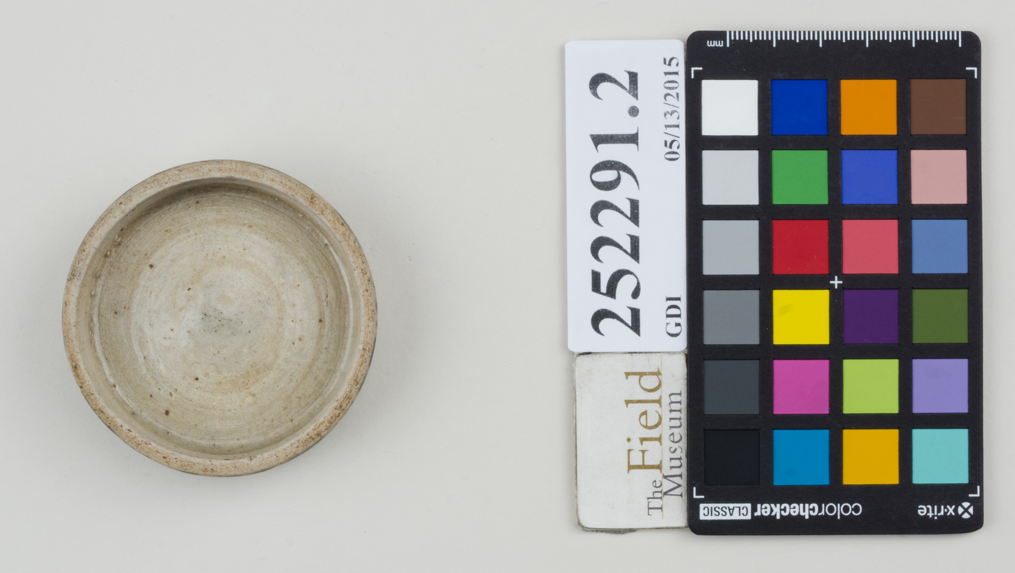 Bottom (c) Field Museum of Natural History - CC BY-NC 4.0