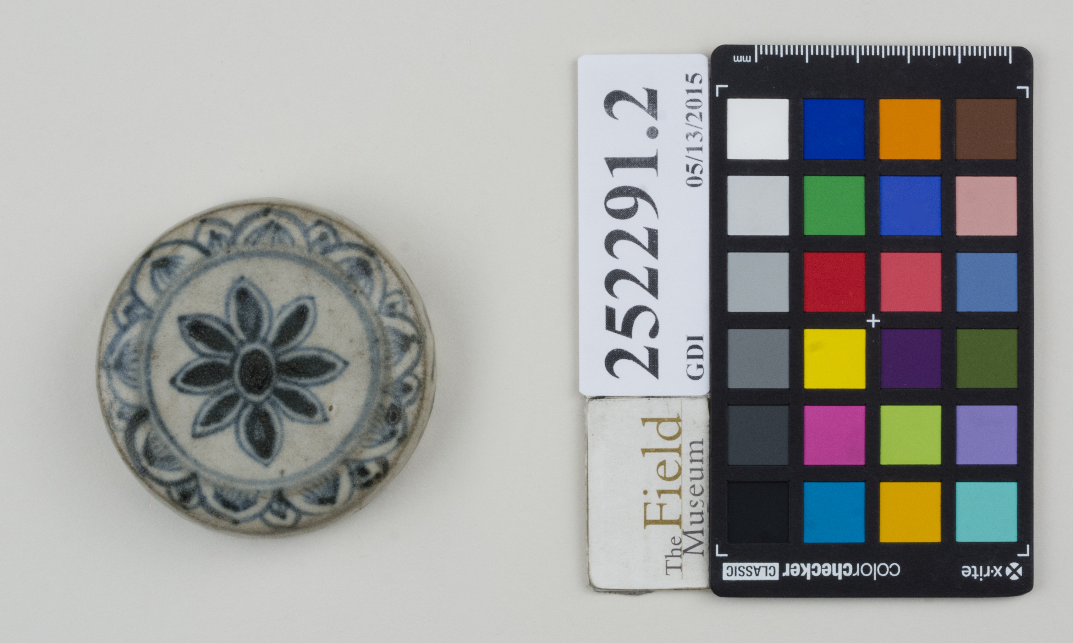 Top (c) Field Museum of Natural History - CC BY-NC 4.0