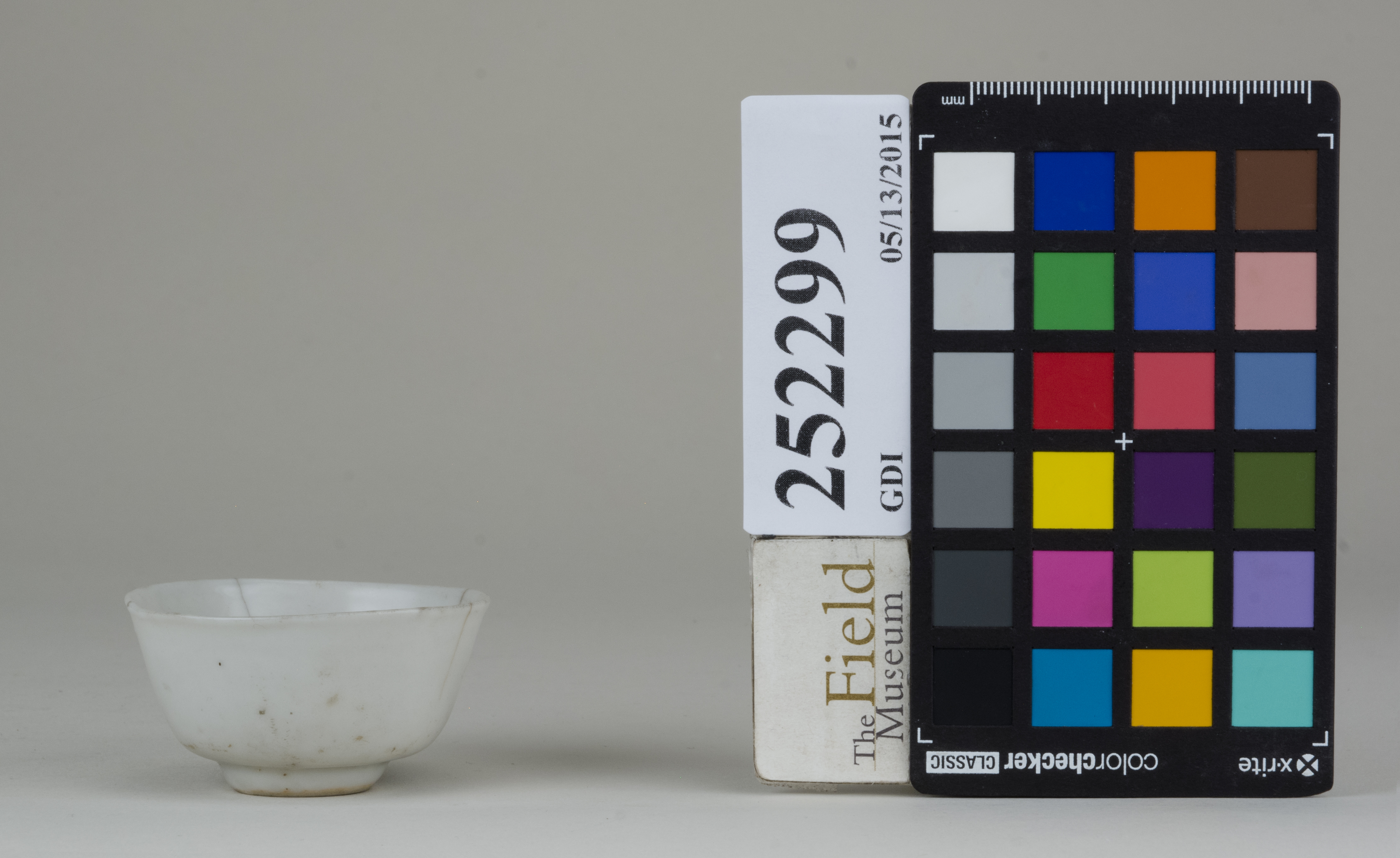 reference image, back (c) Field Museum of Natural History - CC BY-NC 4.0