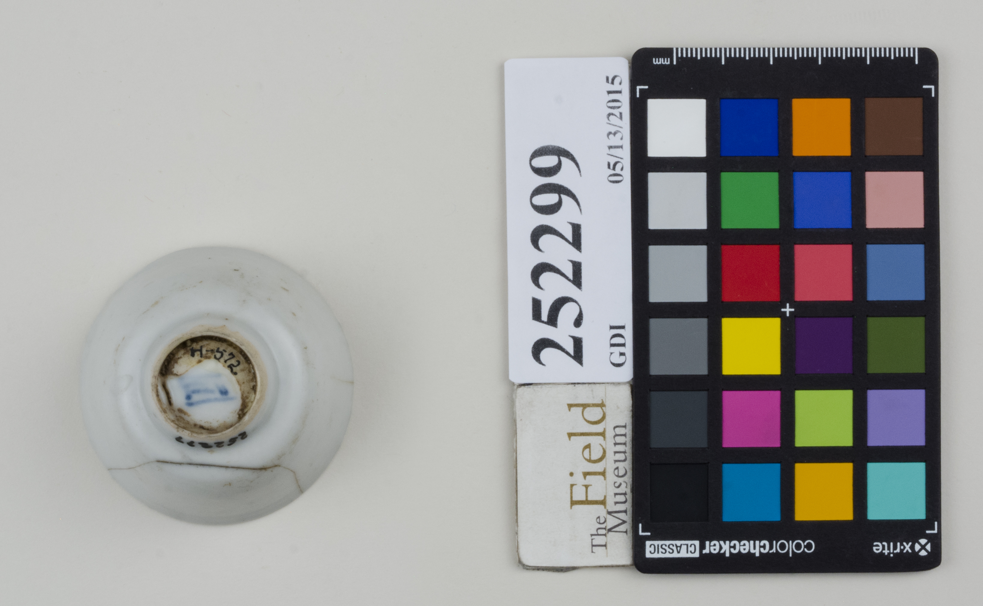 Bottom (c) Field Museum of Natural History - CC BY-NC 4.0