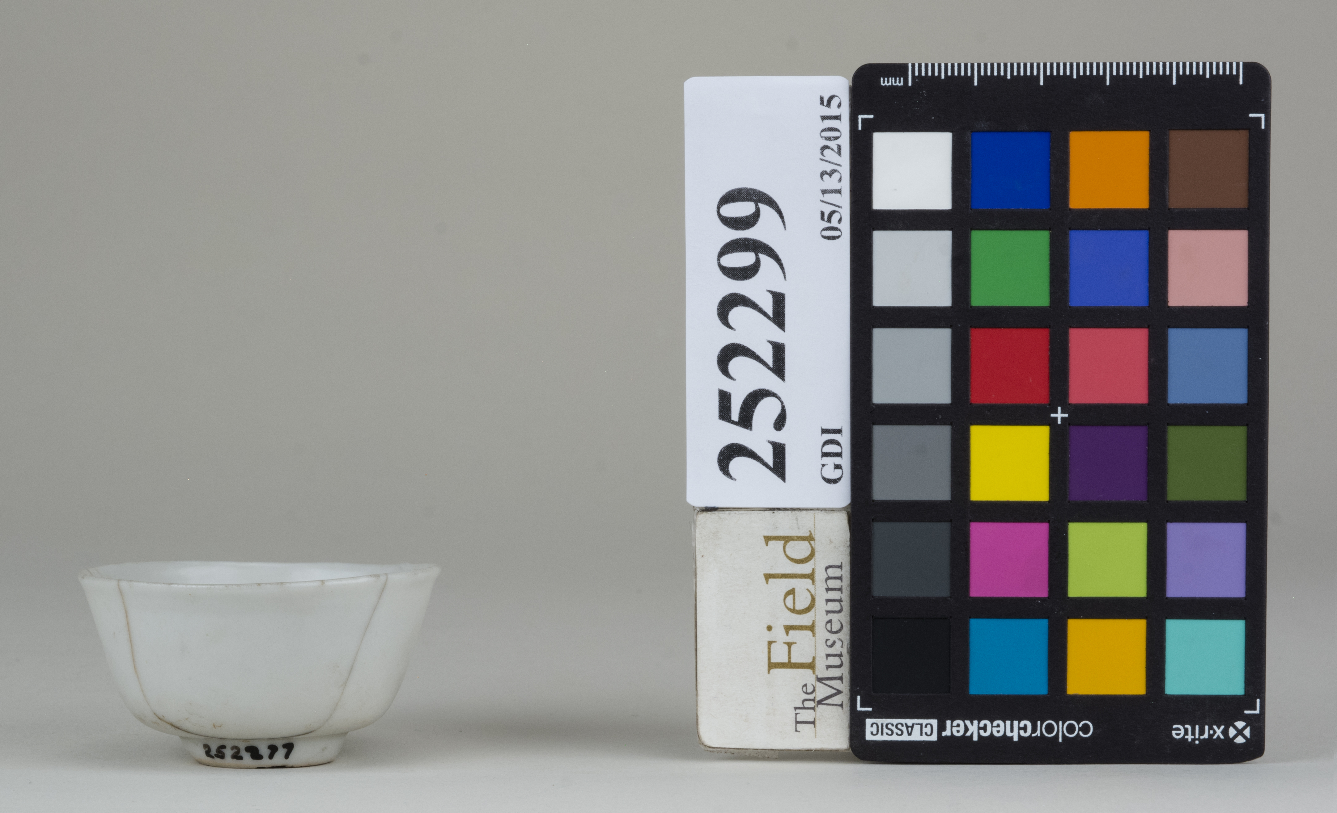 Front (c) Field Museum of Natural History - CC BY-NC 4.0