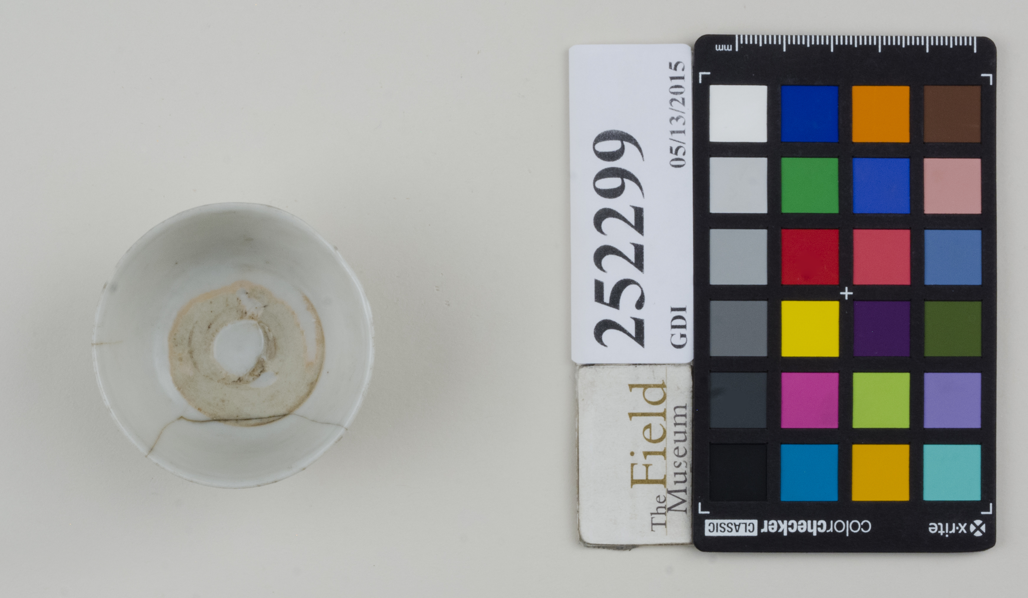 Top (c) Field Museum of Natural History - CC BY-NC 4.0