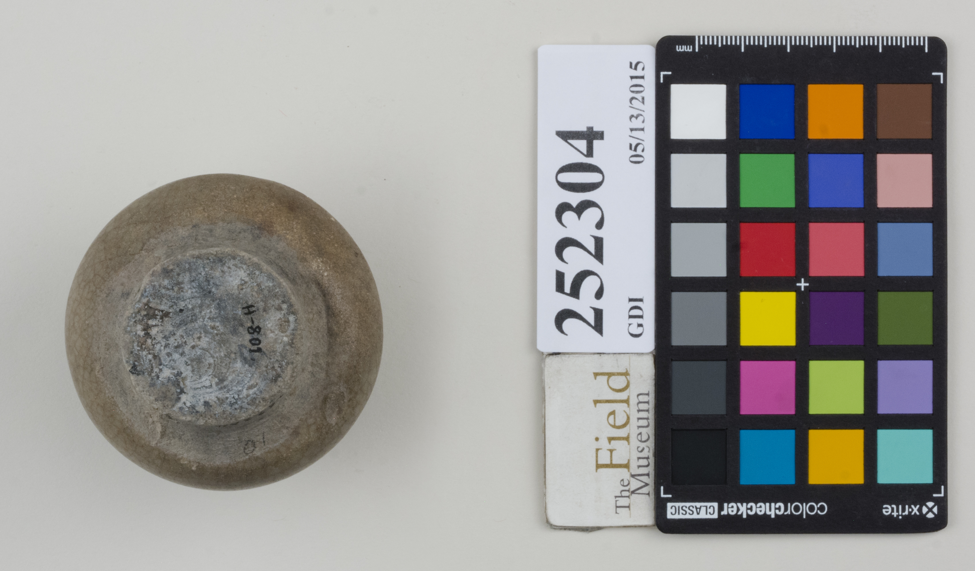 Bottom (c) Field Museum of Natural History - CC BY-NC 4.0