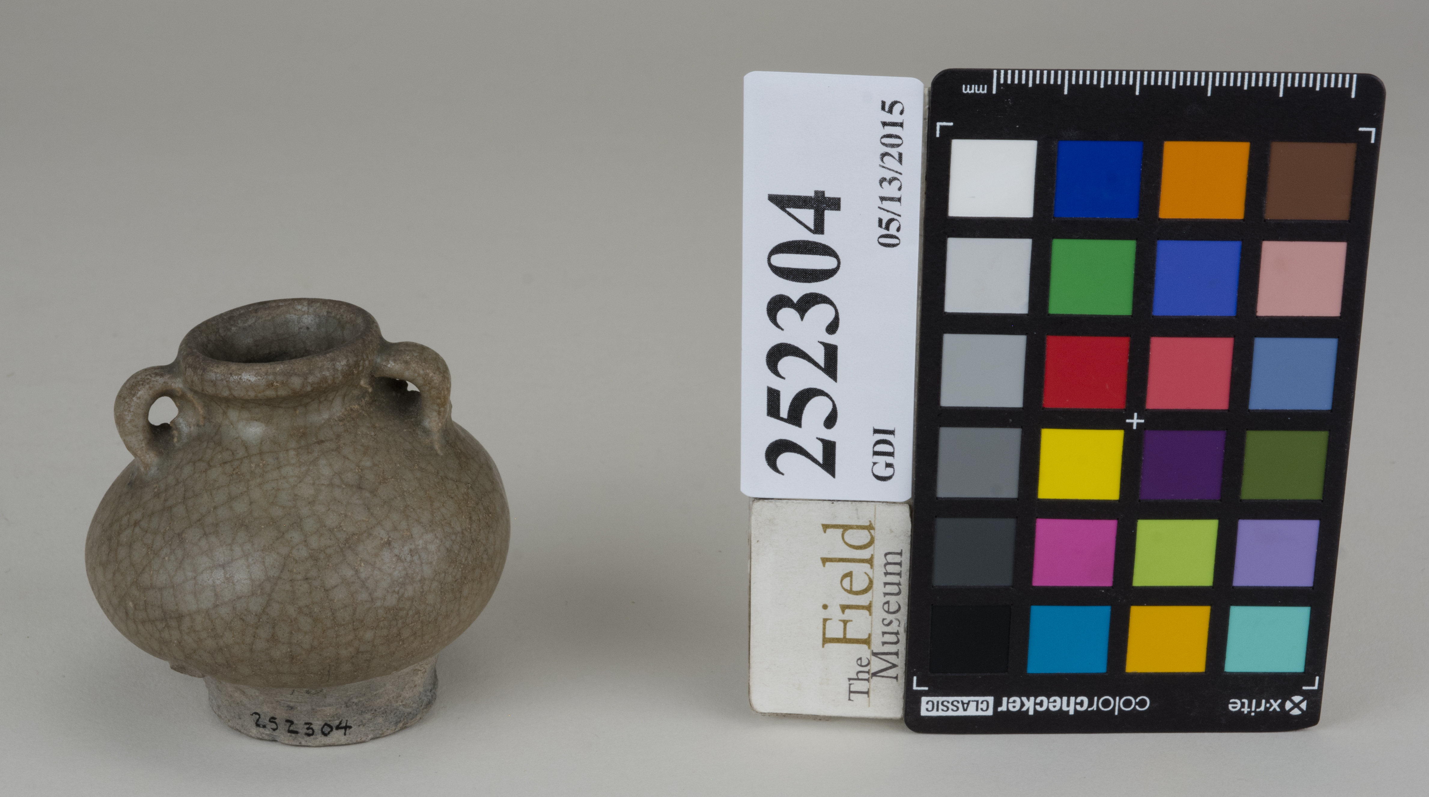 FrontAngle (c) Field Museum of Natural History - CC BY-NC 4.0