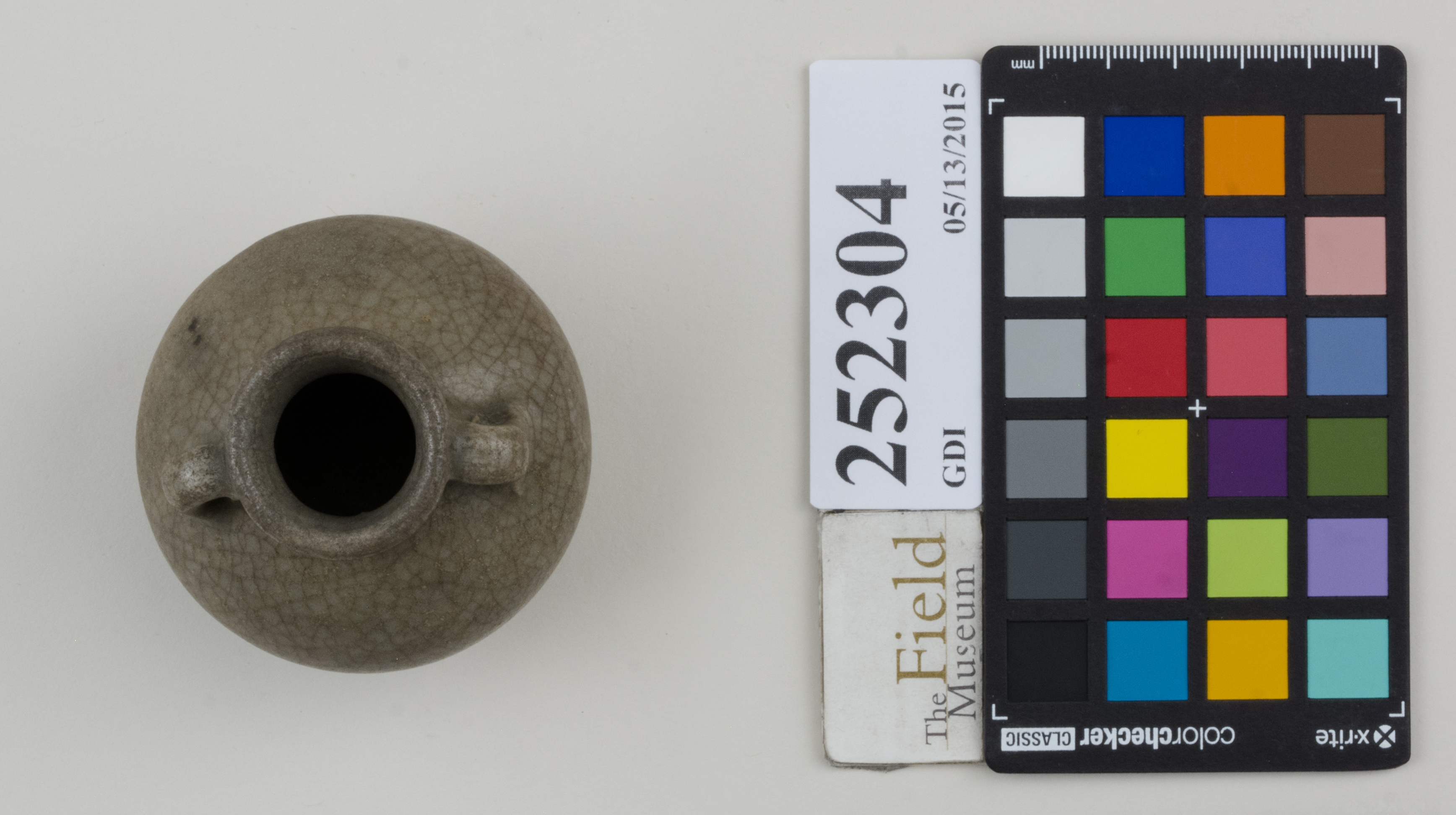 Top (c) Field Museum of Natural History - CC BY-NC 4.0