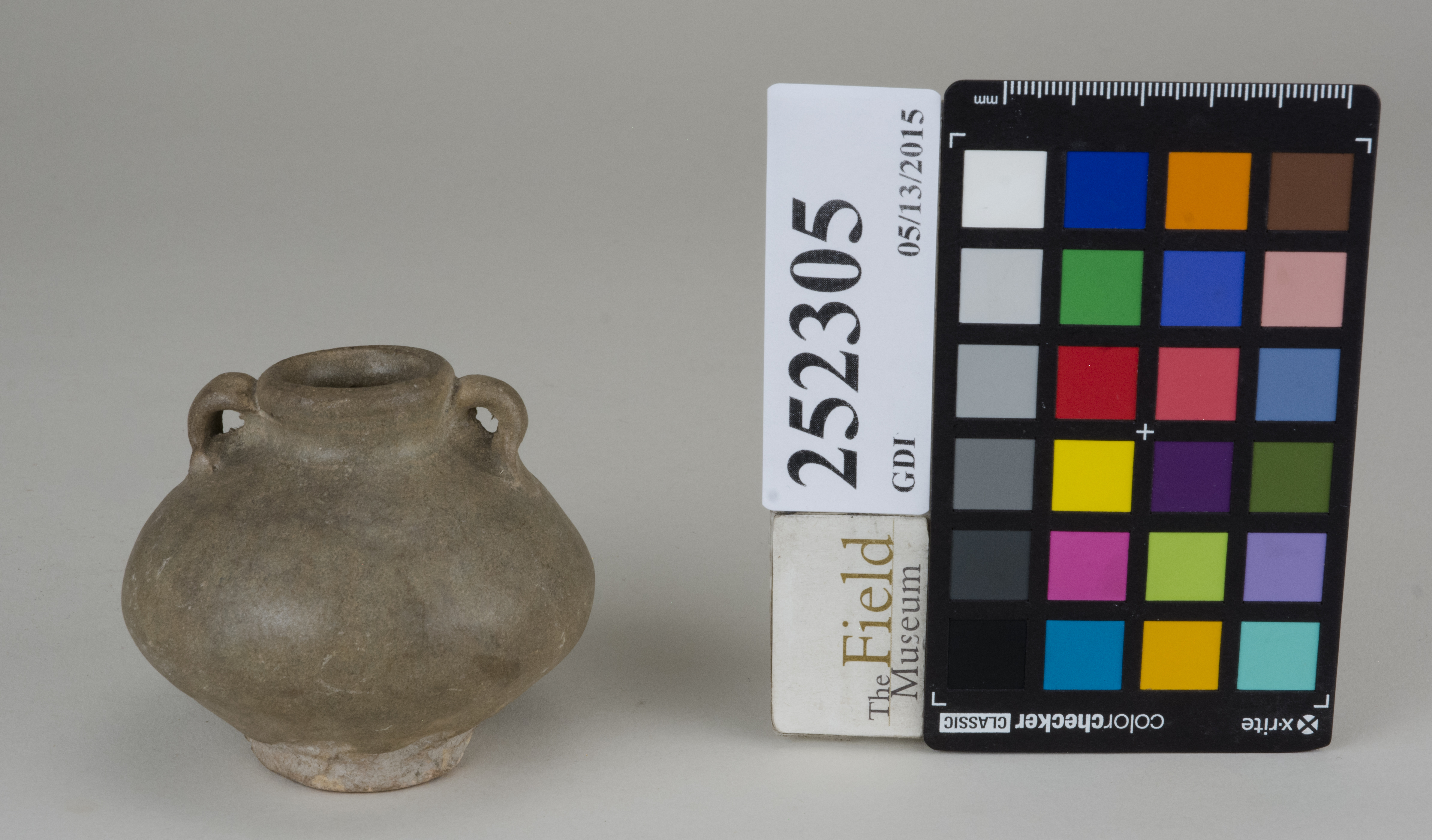 FrontAngle (c) Field Museum of Natural History - CC BY-NC 4.0