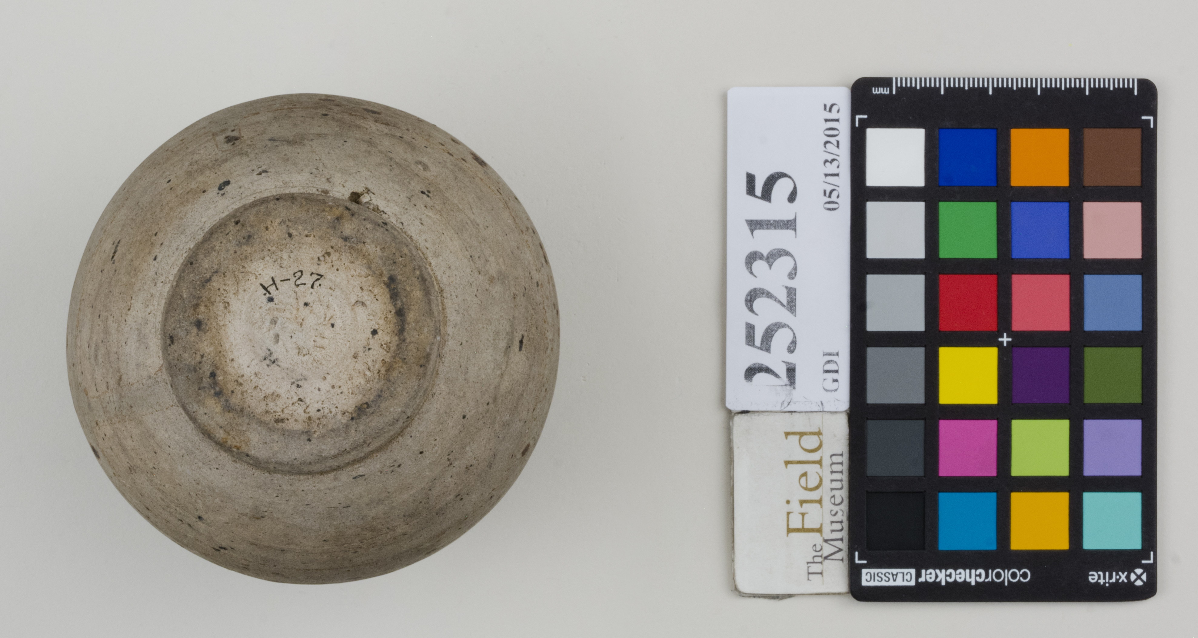 Bottom (c) Field Museum of Natural History - CC BY-NC 4.0