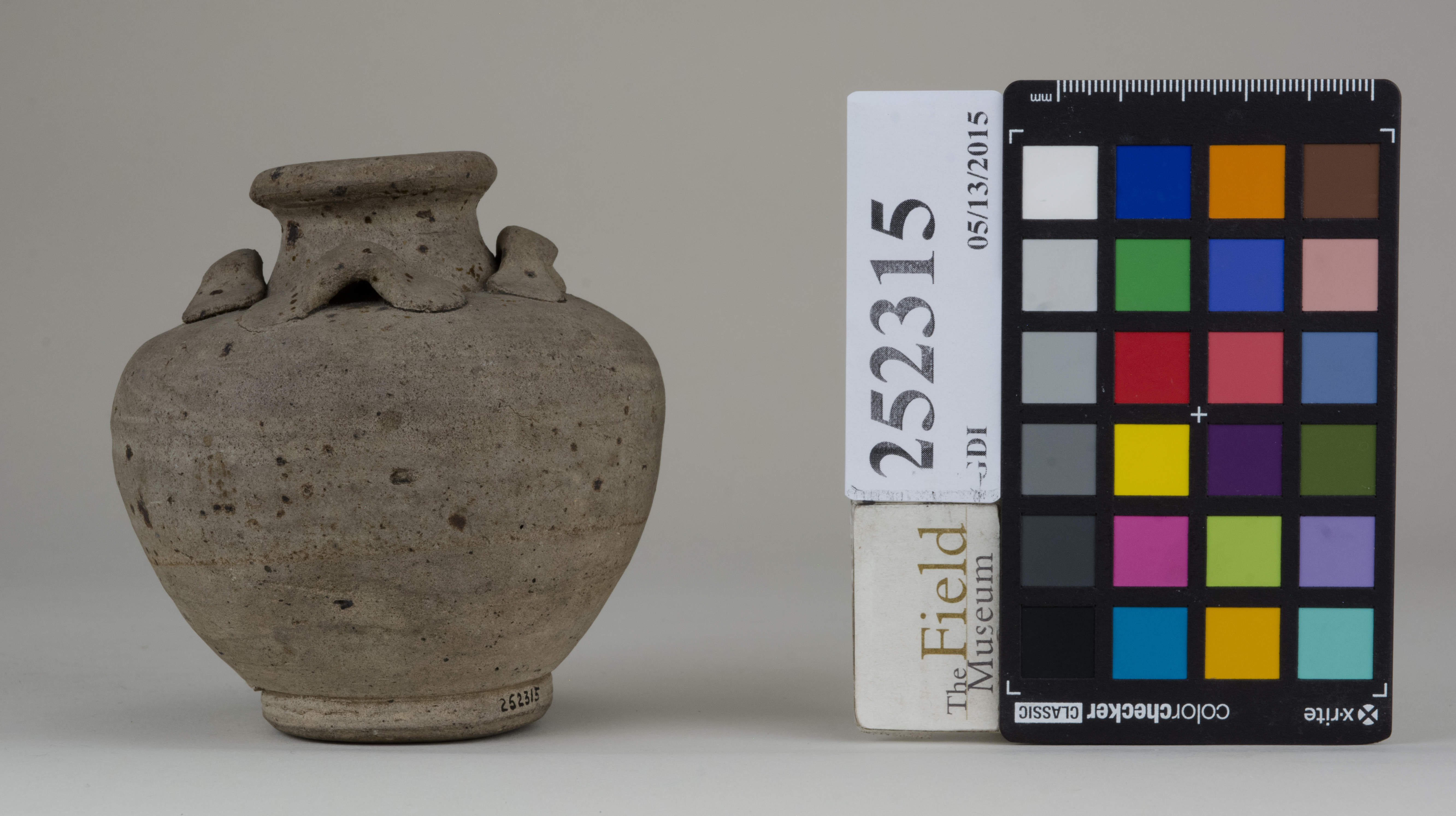 Front (c) Field Museum of Natural History - CC BY-NC 4.0