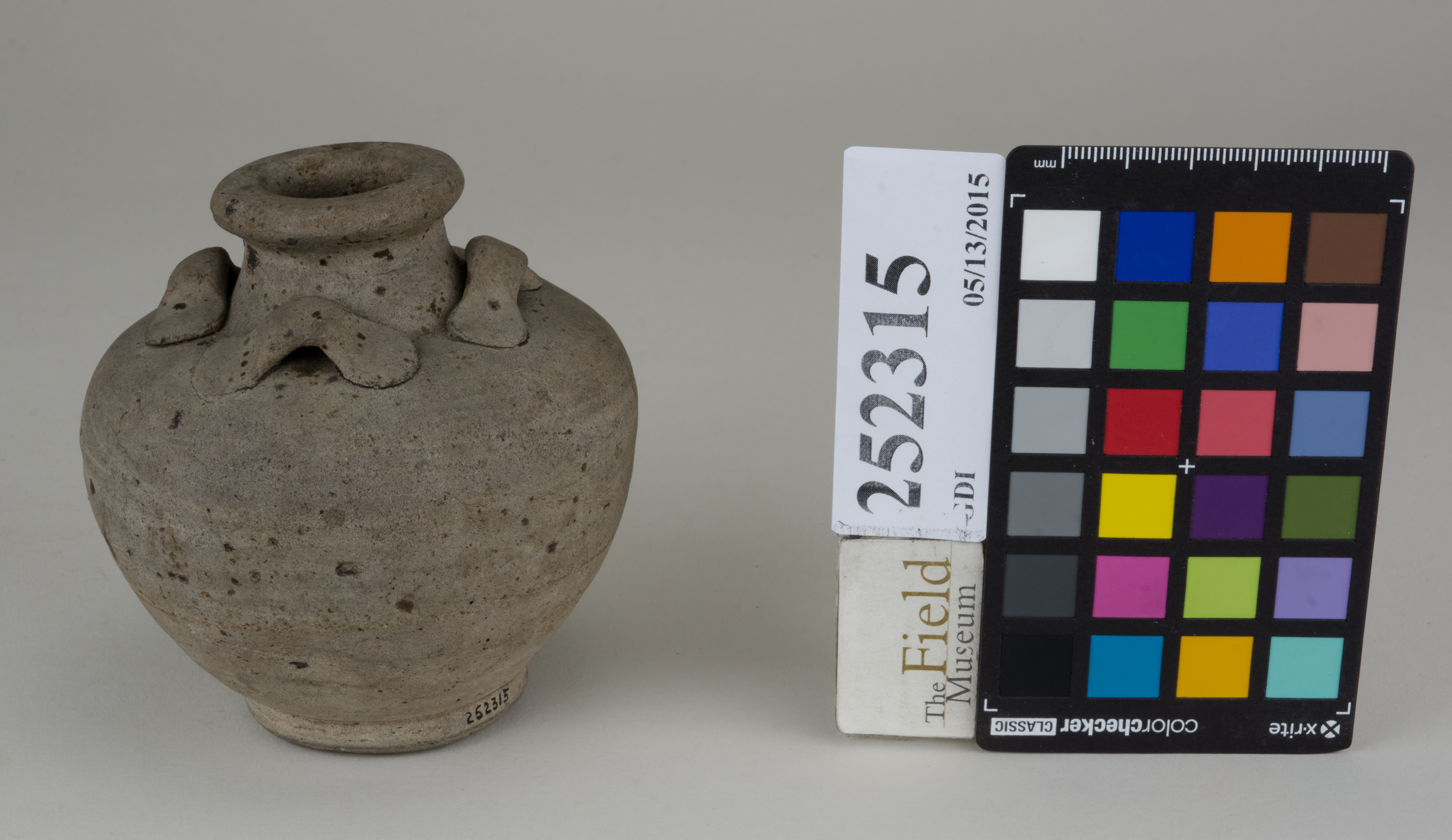 FrontAngle (c) Field Museum of Natural History - CC BY-NC 4.0