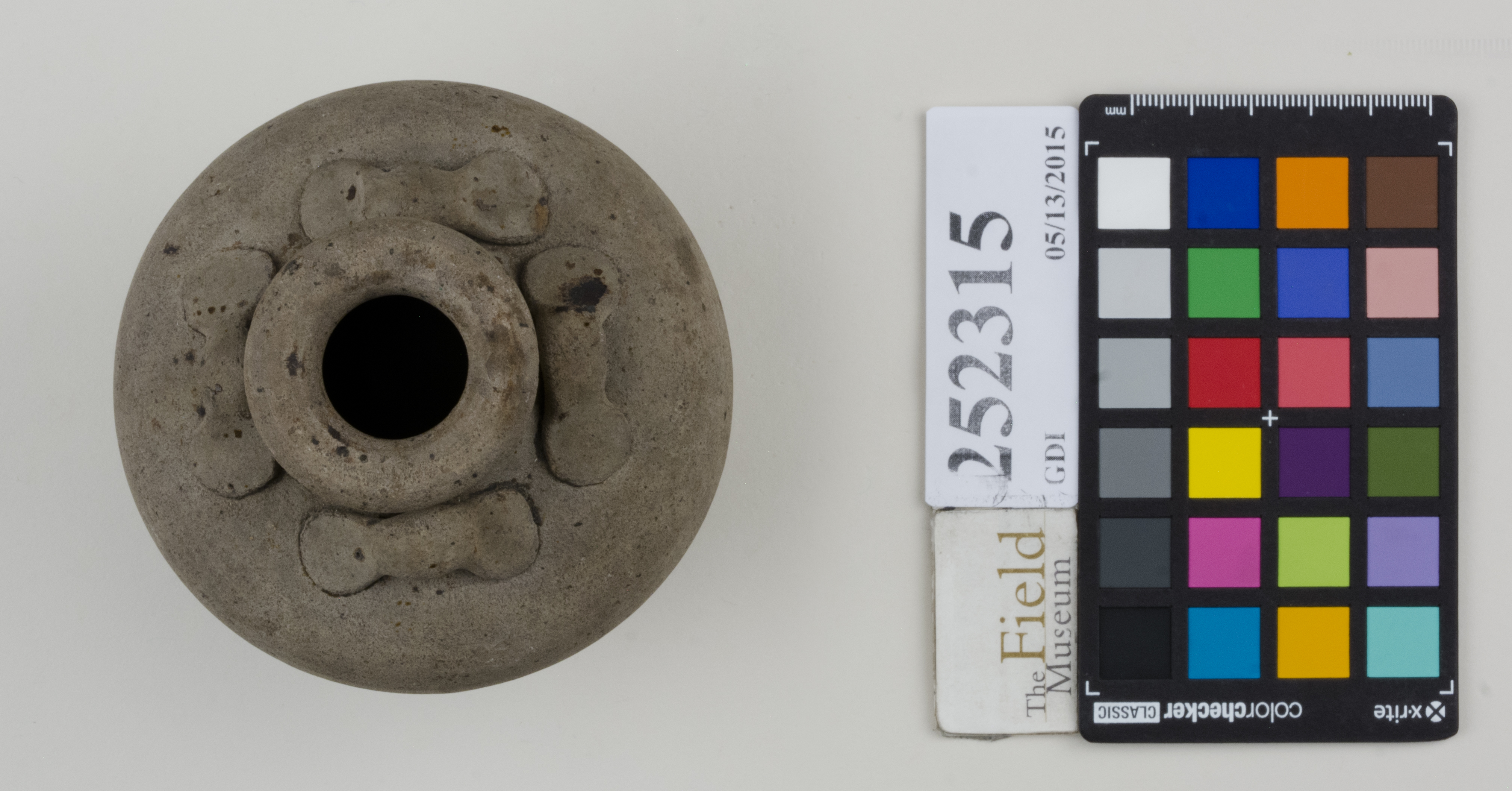 Top (c) Field Museum of Natural History - CC BY-NC 4.0