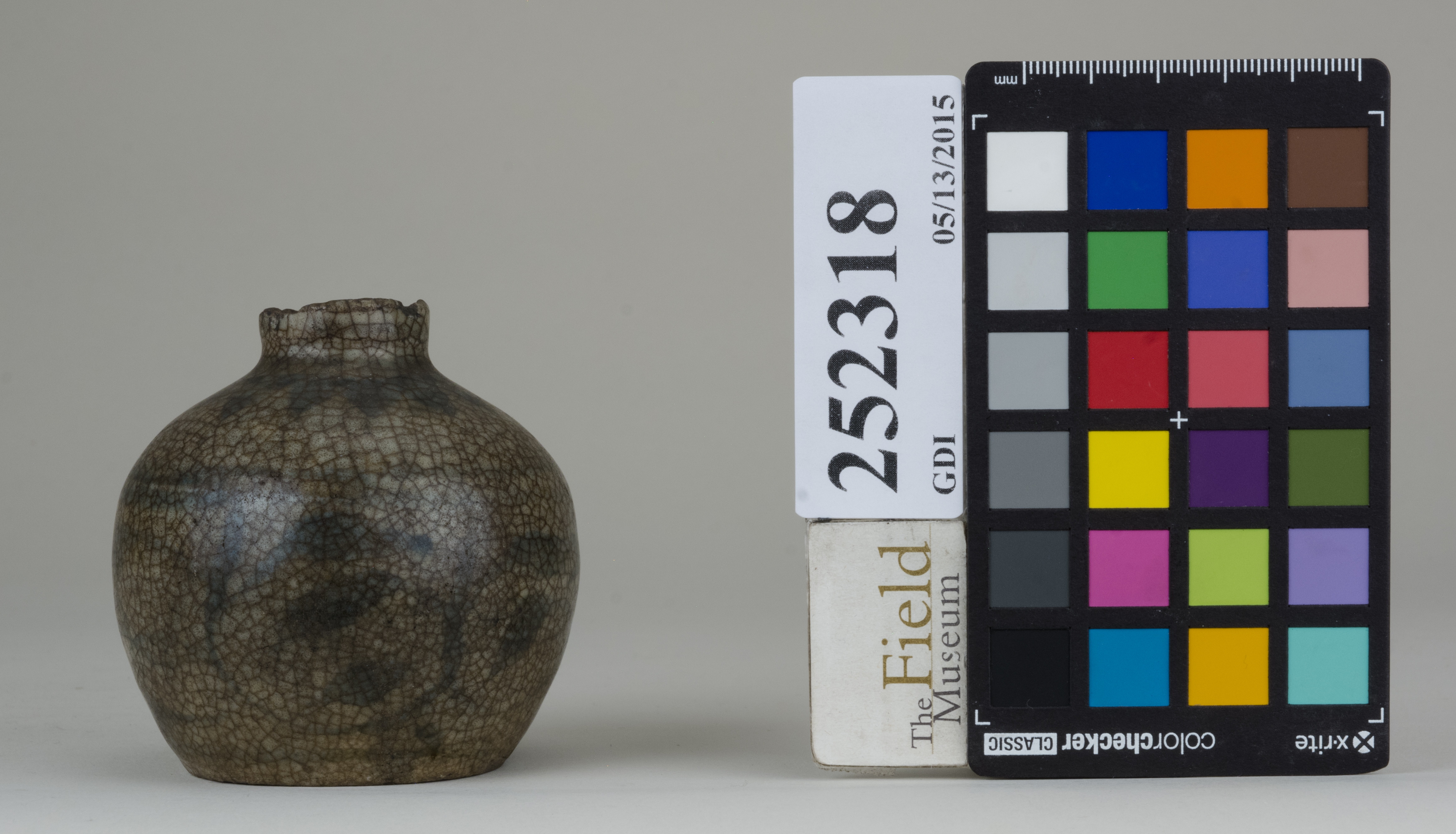 reference image, back (c) Field Museum of Natural History - CC BY-NC 4.0