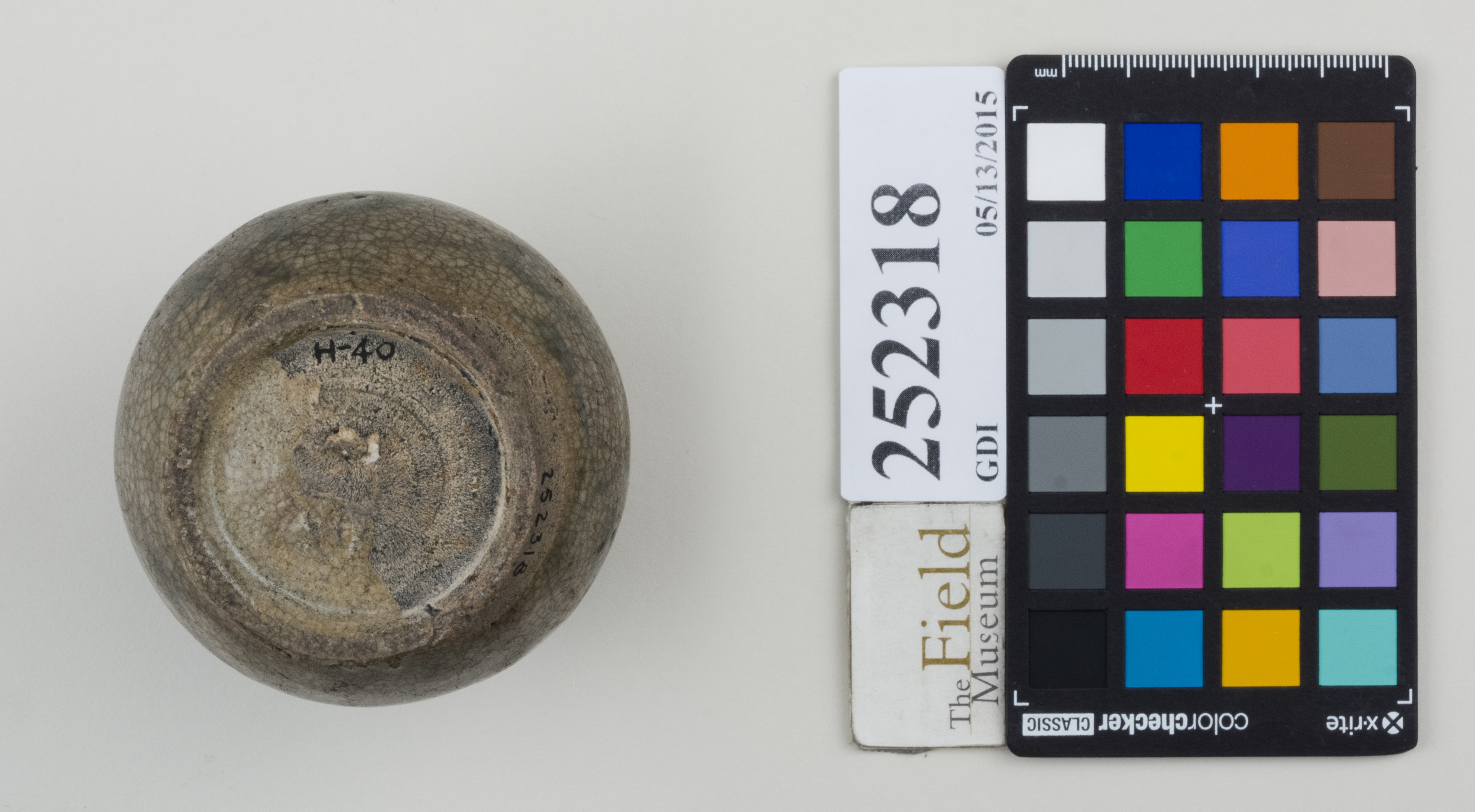 Bottom (c) Field Museum of Natural History - CC BY-NC 4.0