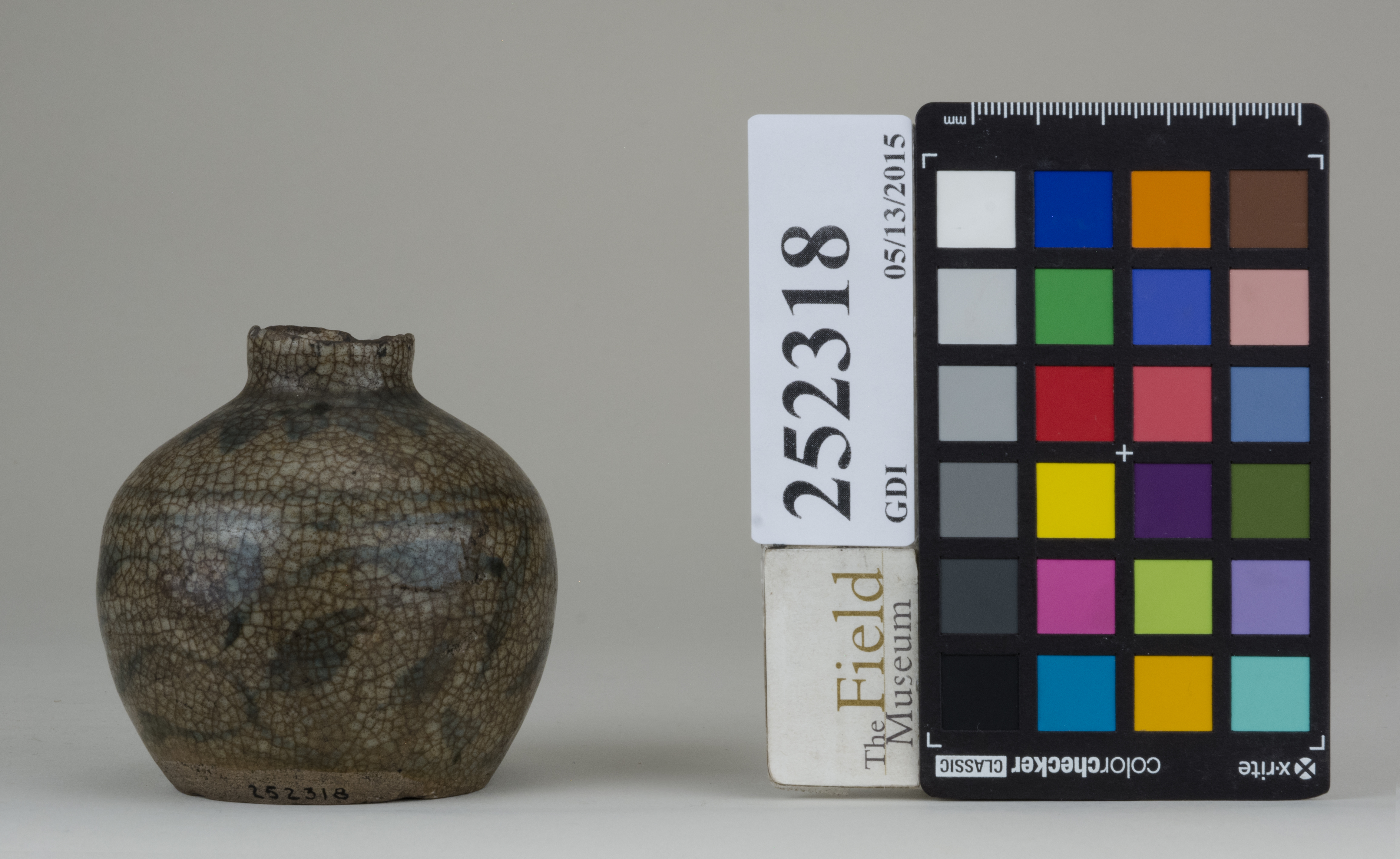 Front (c) Field Museum of Natural History - CC BY-NC 4.0