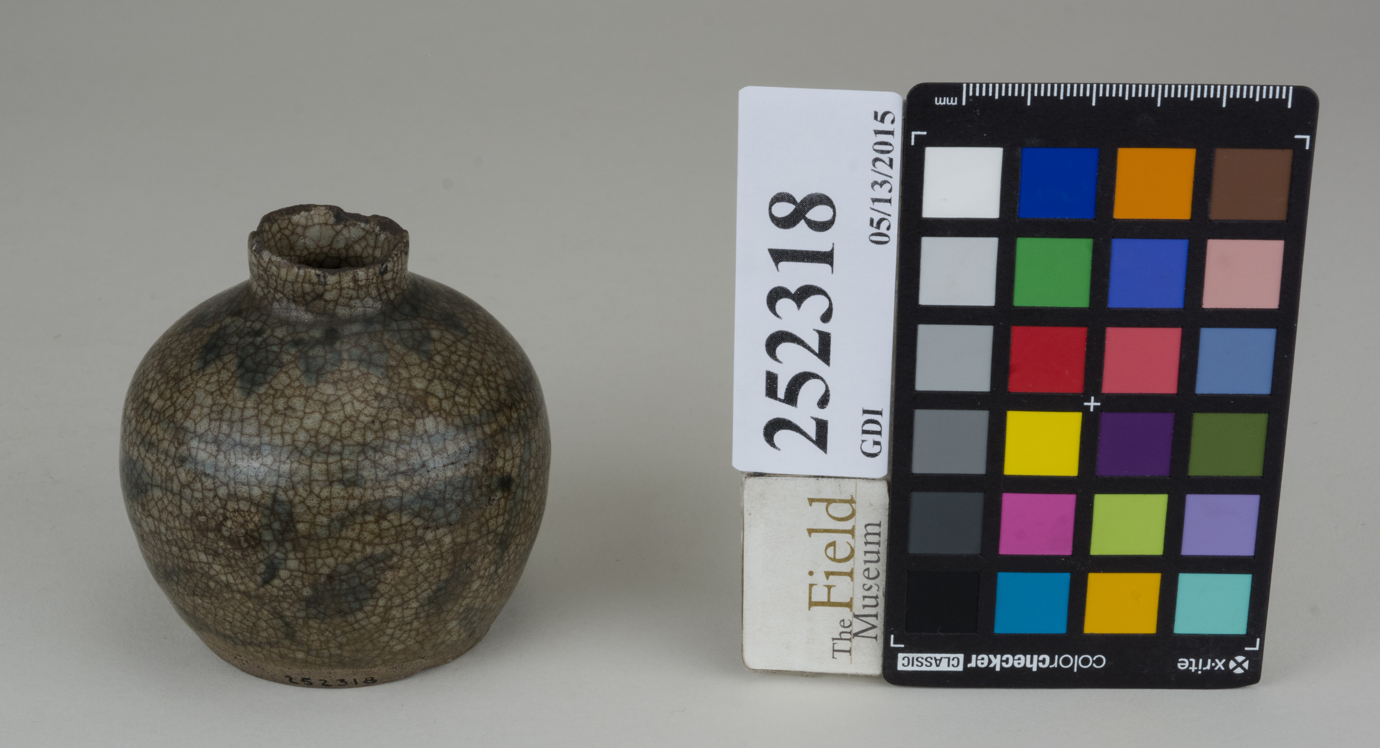 FrontAngle (c) Field Museum of Natural History - CC BY-NC 4.0