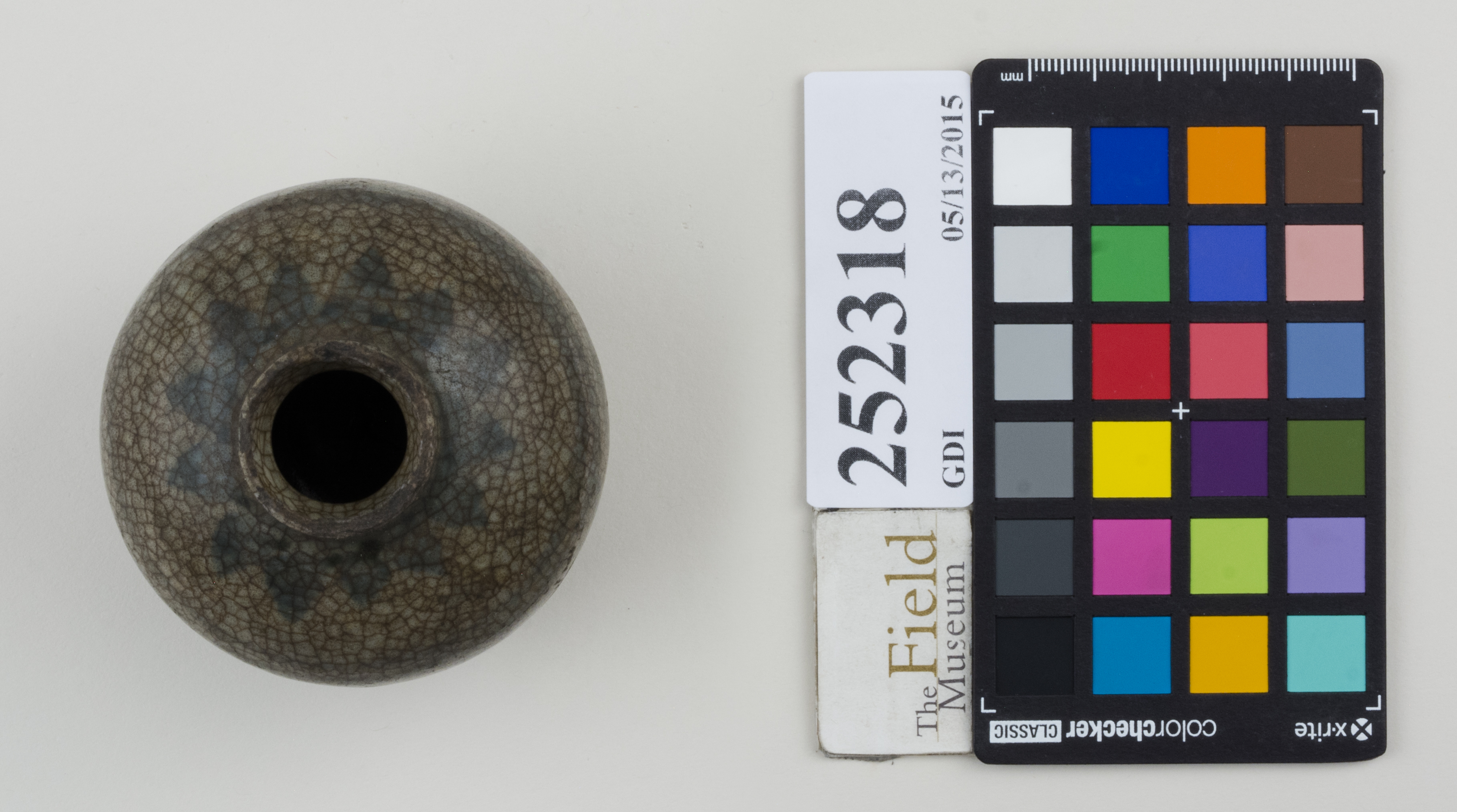 Top (c) Field Museum of Natural History - CC BY-NC 4.0