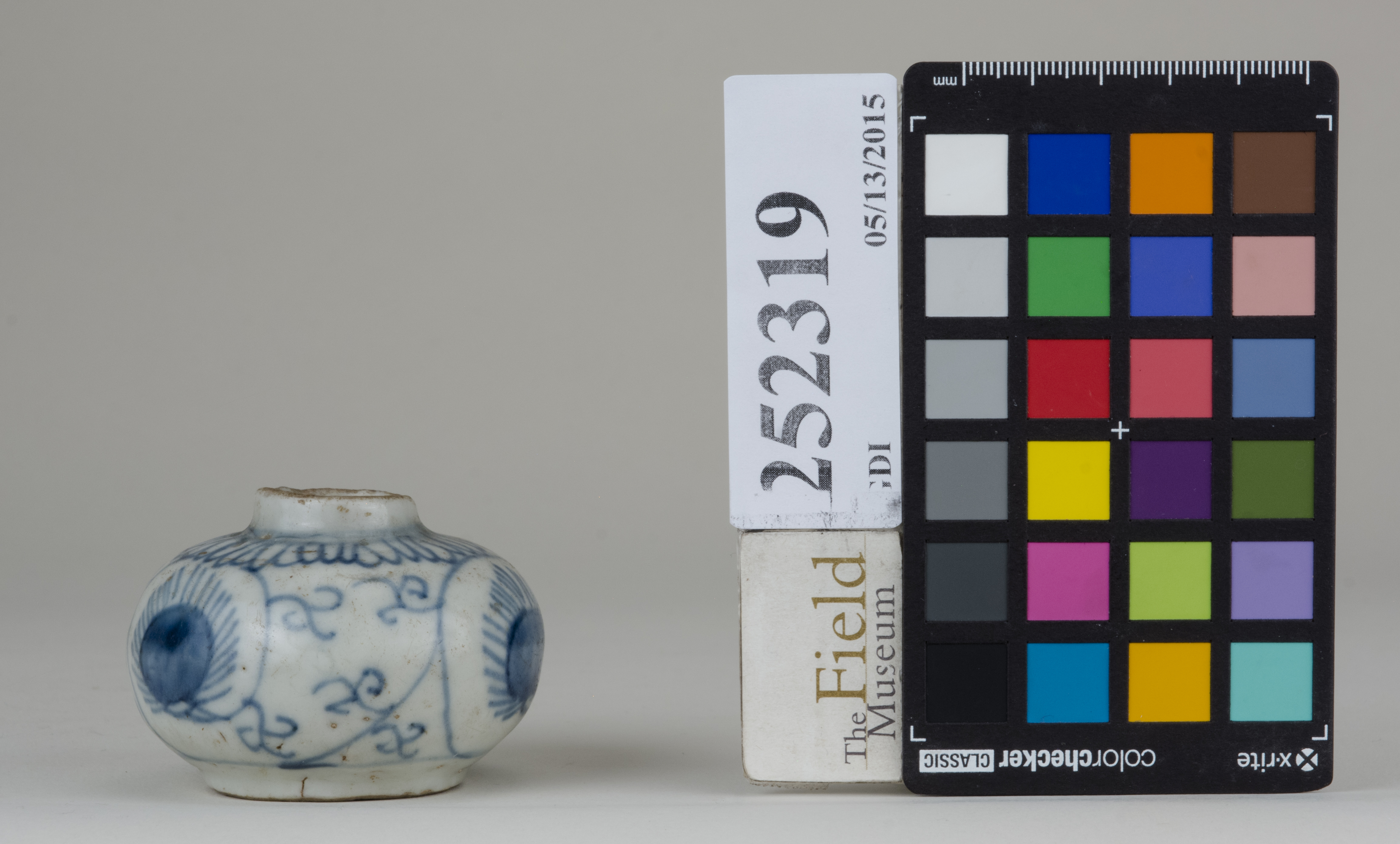 Right (c) Field Museum of Natural History - CC BY-NC 4.0