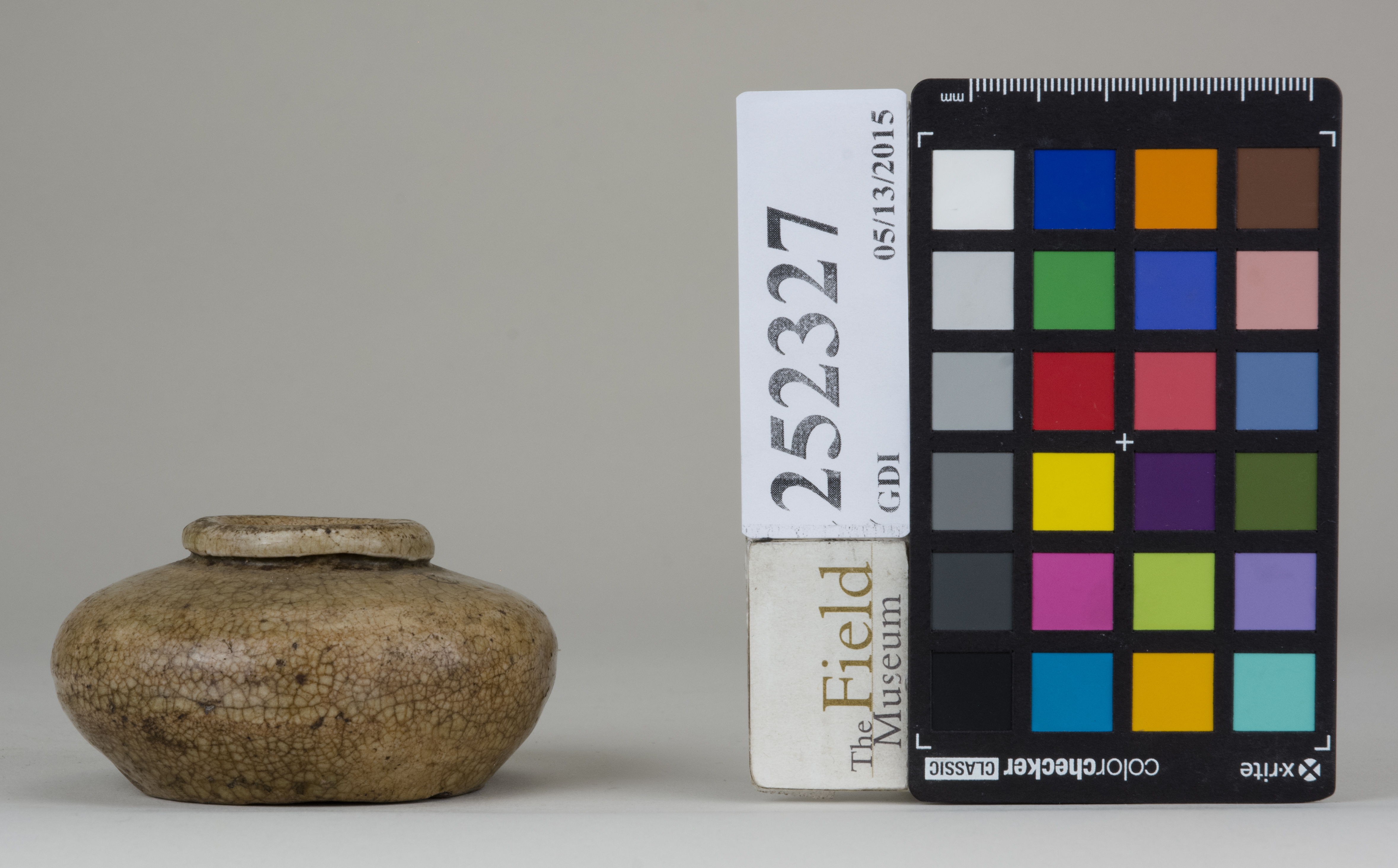 reference image, back (c) Field Museum of Natural History - CC BY-NC 4.0