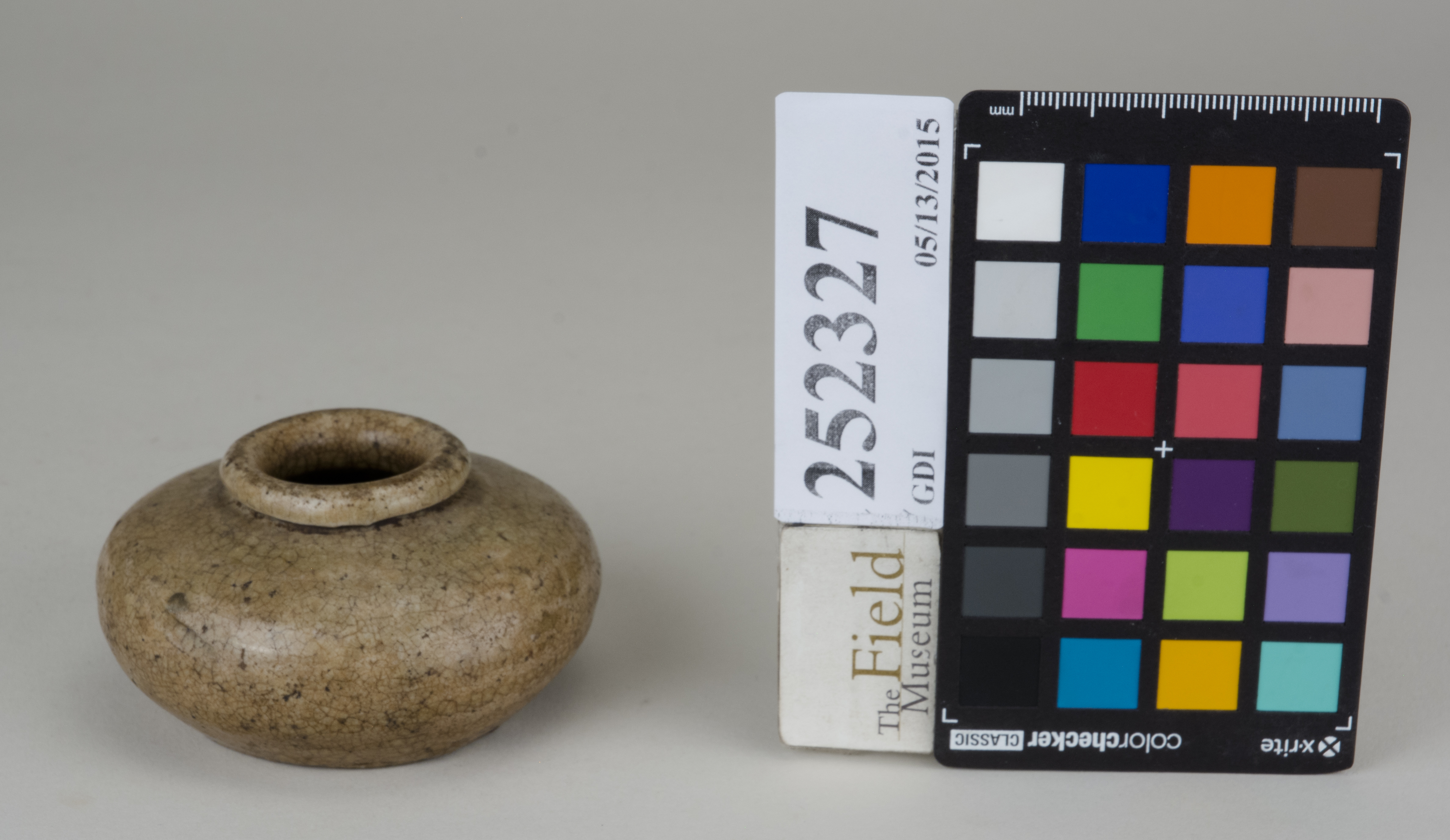 FrontAngle (c) Field Museum of Natural History - CC BY-NC 4.0