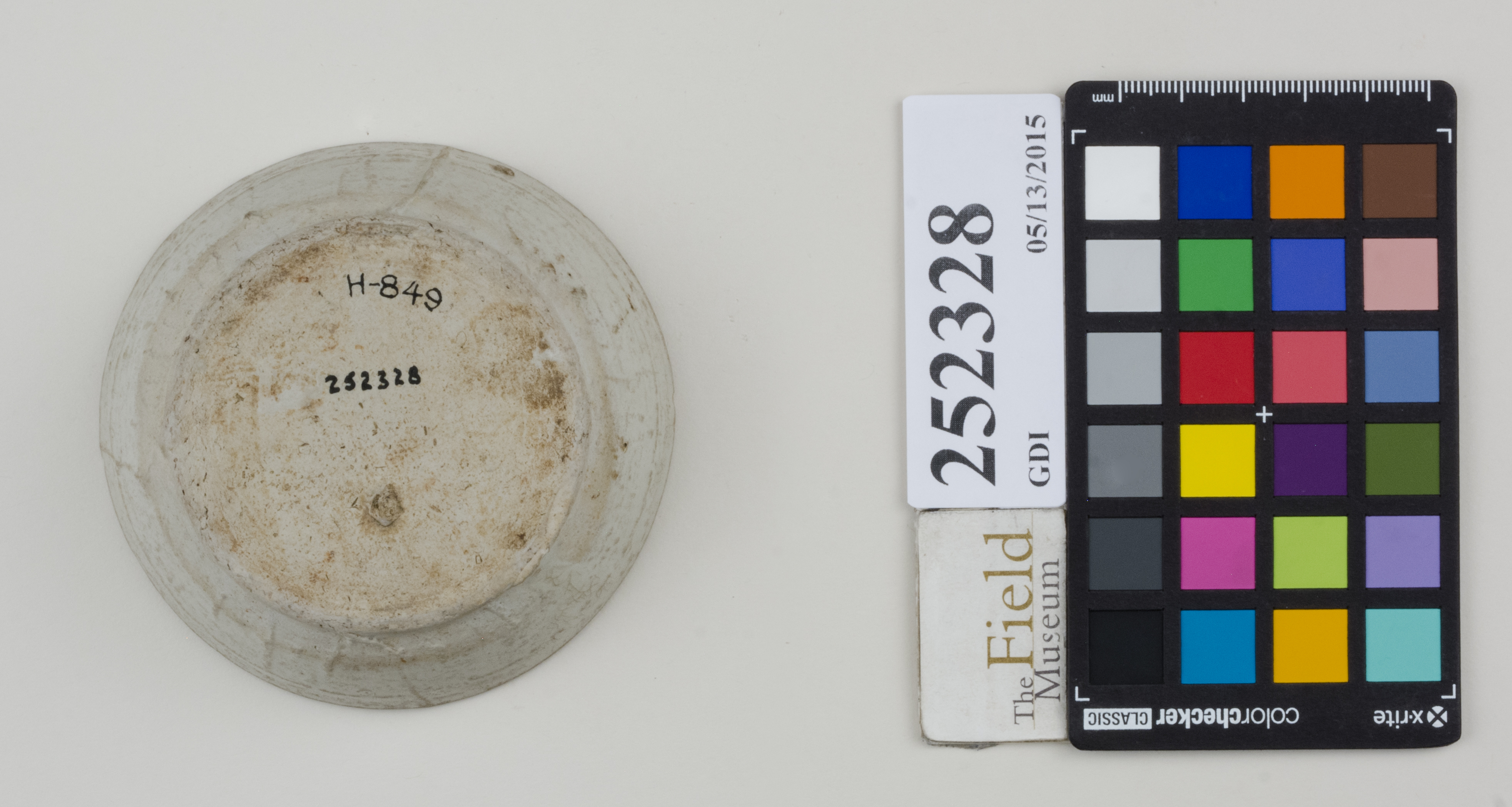 Bottom (c) Field Museum of Natural History - CC BY-NC 4.0