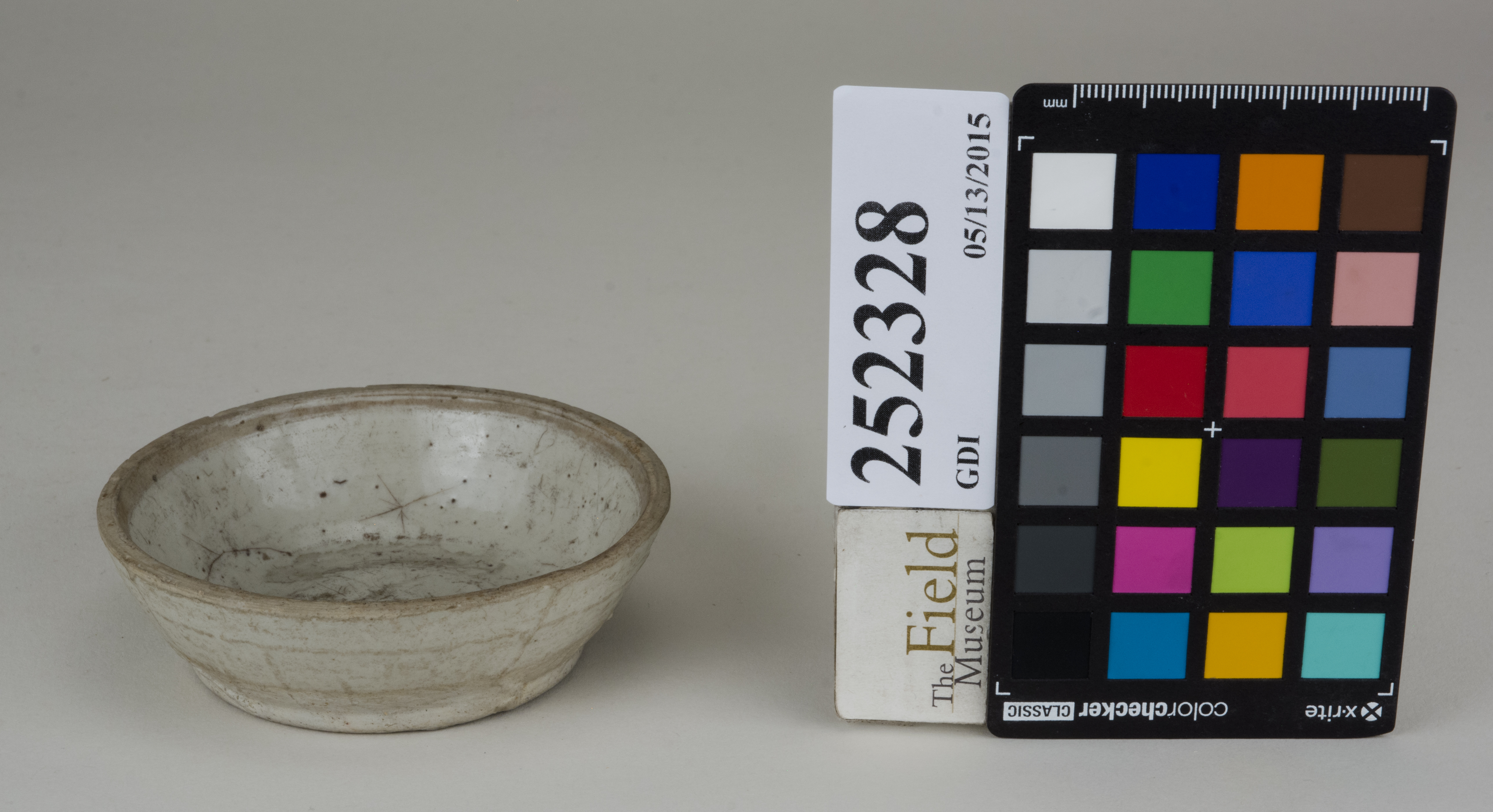 FrontAngle (c) Field Museum of Natural History - CC BY-NC 4.0