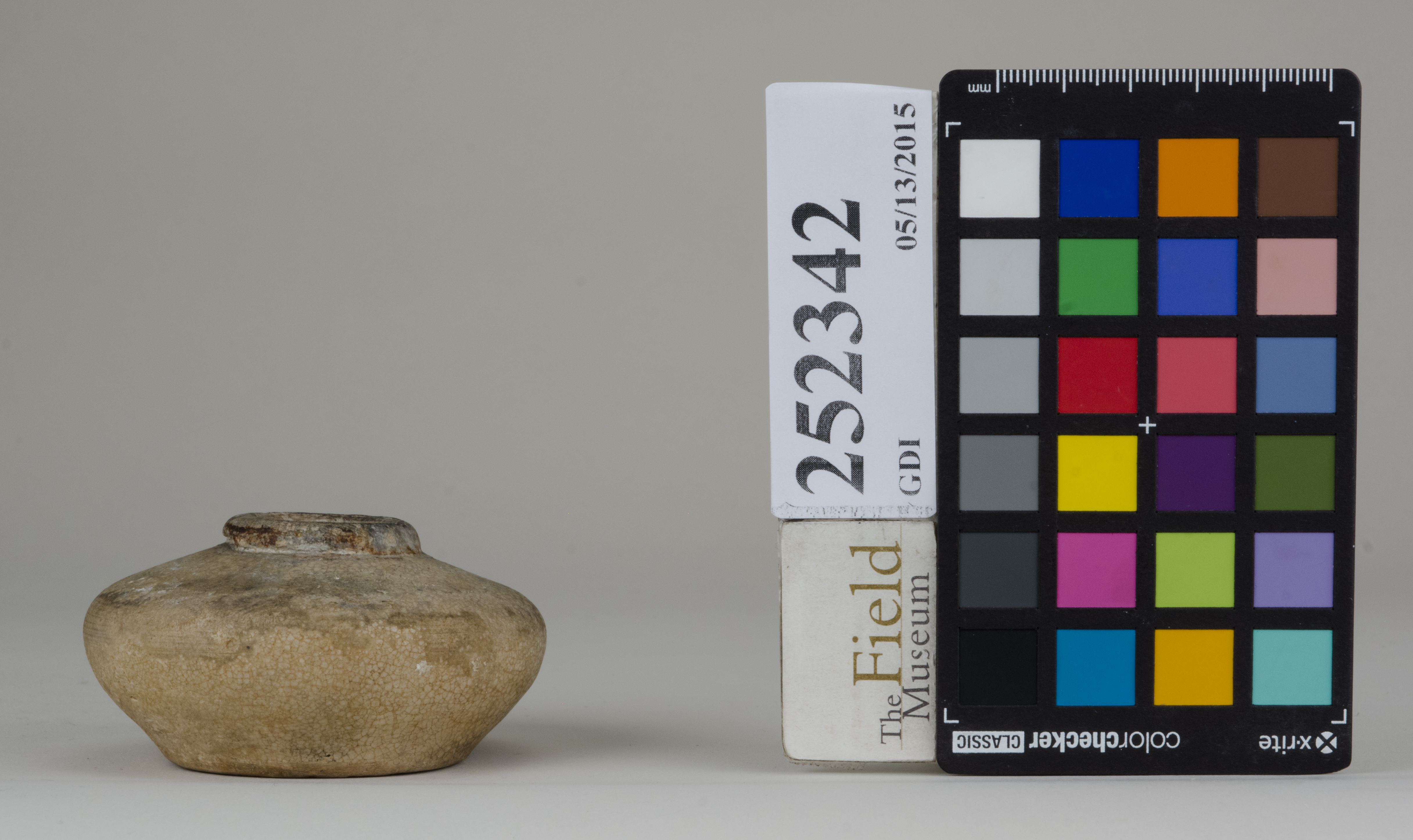 reference image, back (c) Field Museum of Natural History - CC BY-NC 4.0