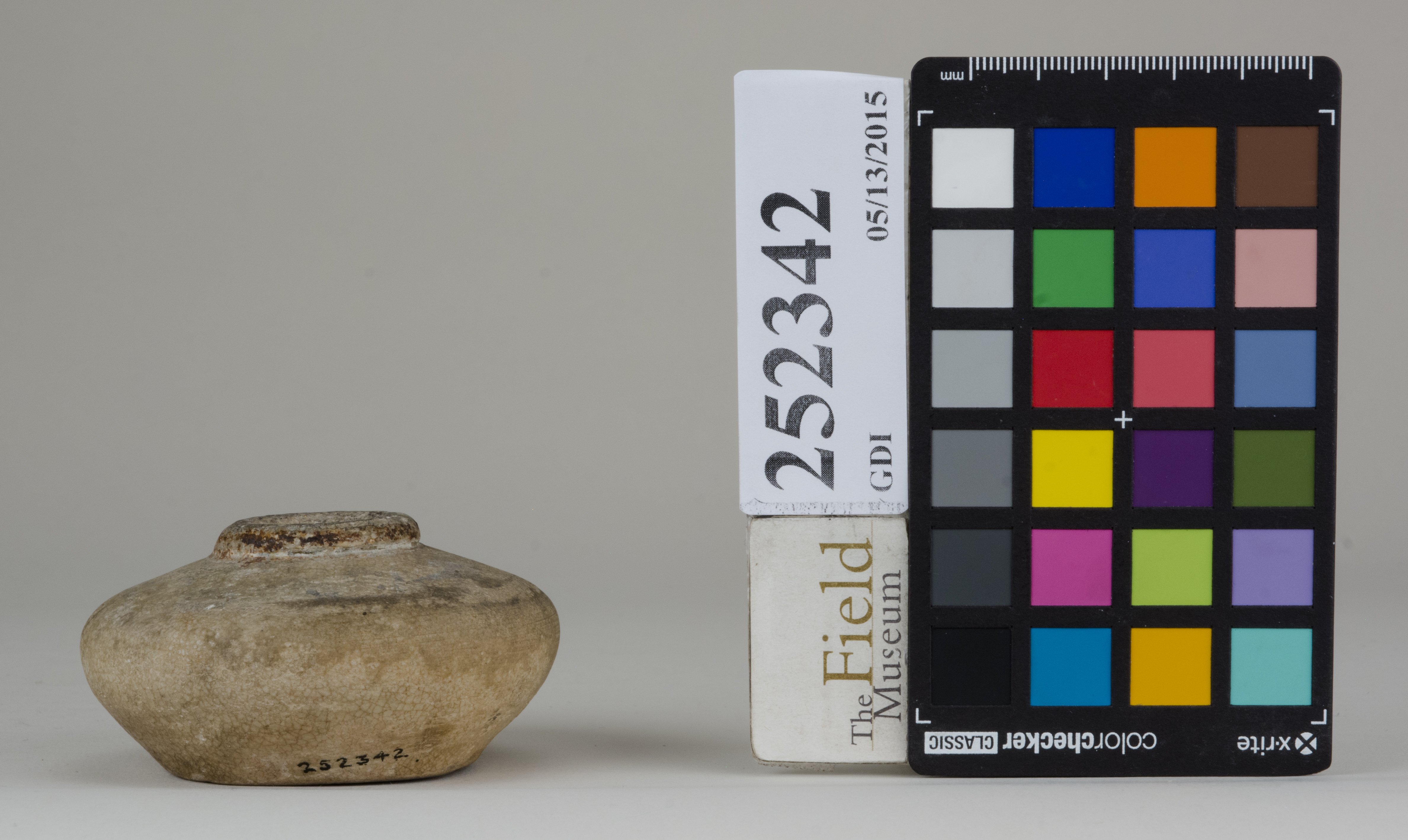 Front (c) Field Museum of Natural History - CC BY-NC 4.0