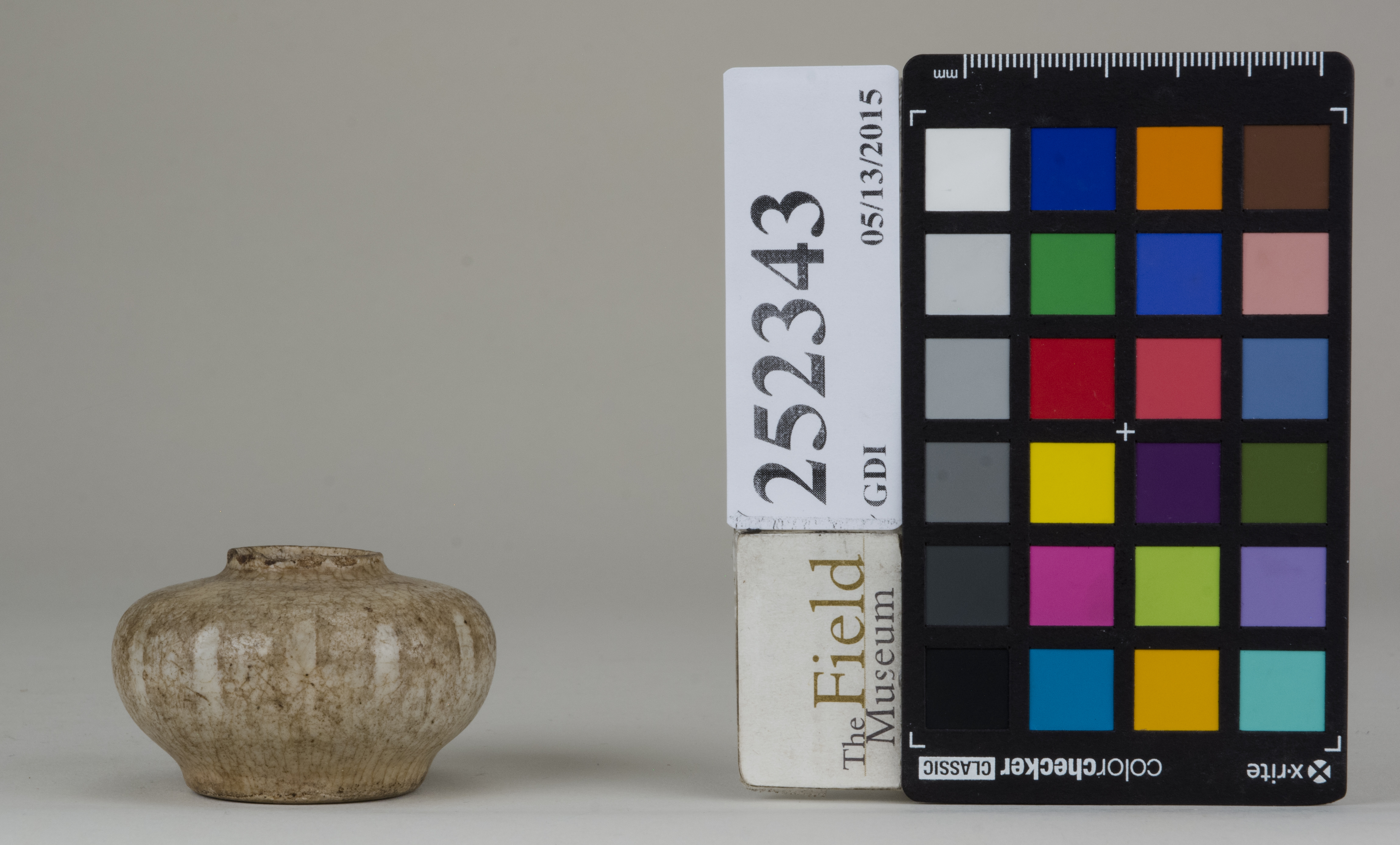 Front (c) Field Museum of Natural History - CC BY-NC 4.0