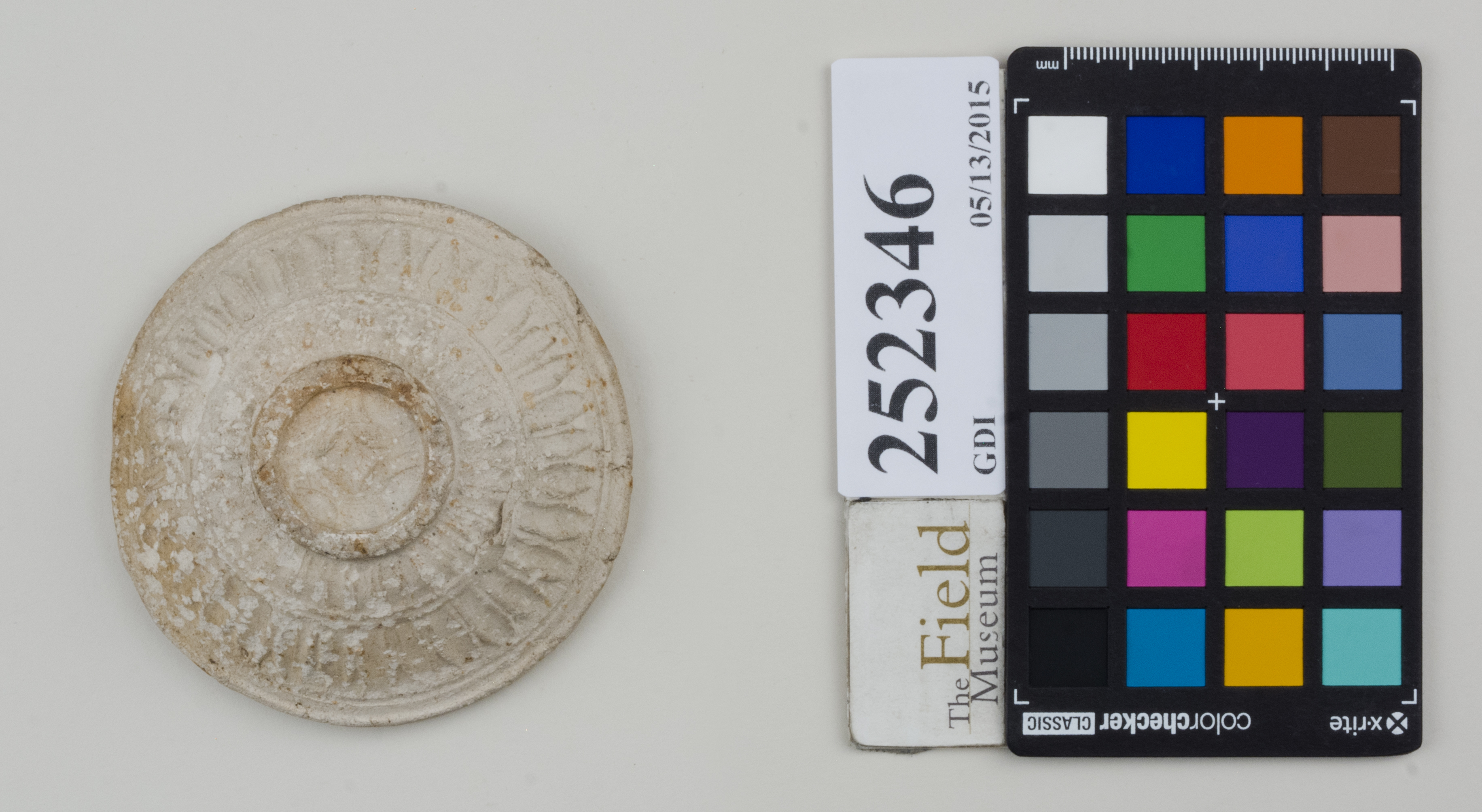 Bottom (c) Field Museum of Natural History - CC BY-NC 4.0