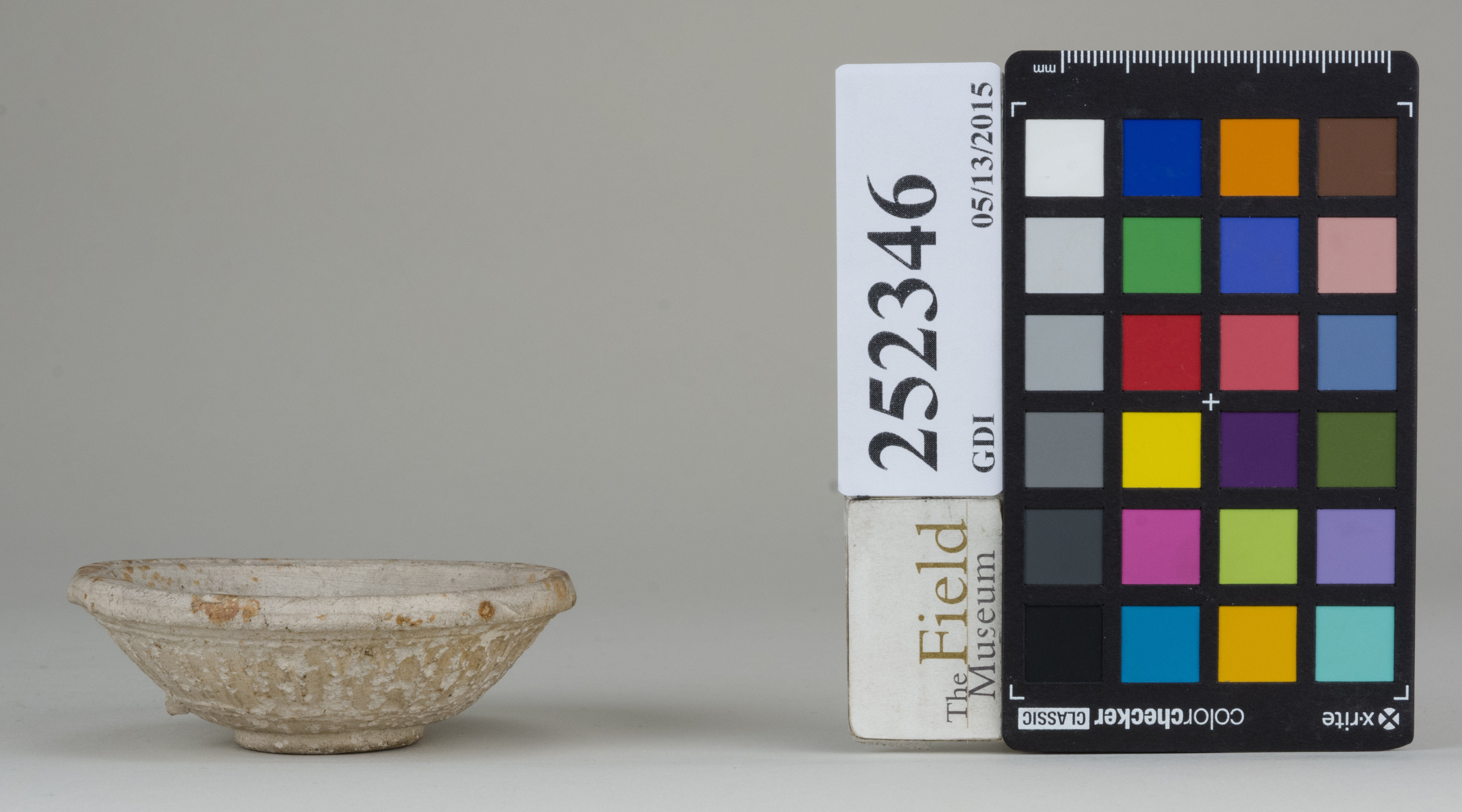 Front (c) Field Museum of Natural History - CC BY-NC 4.0