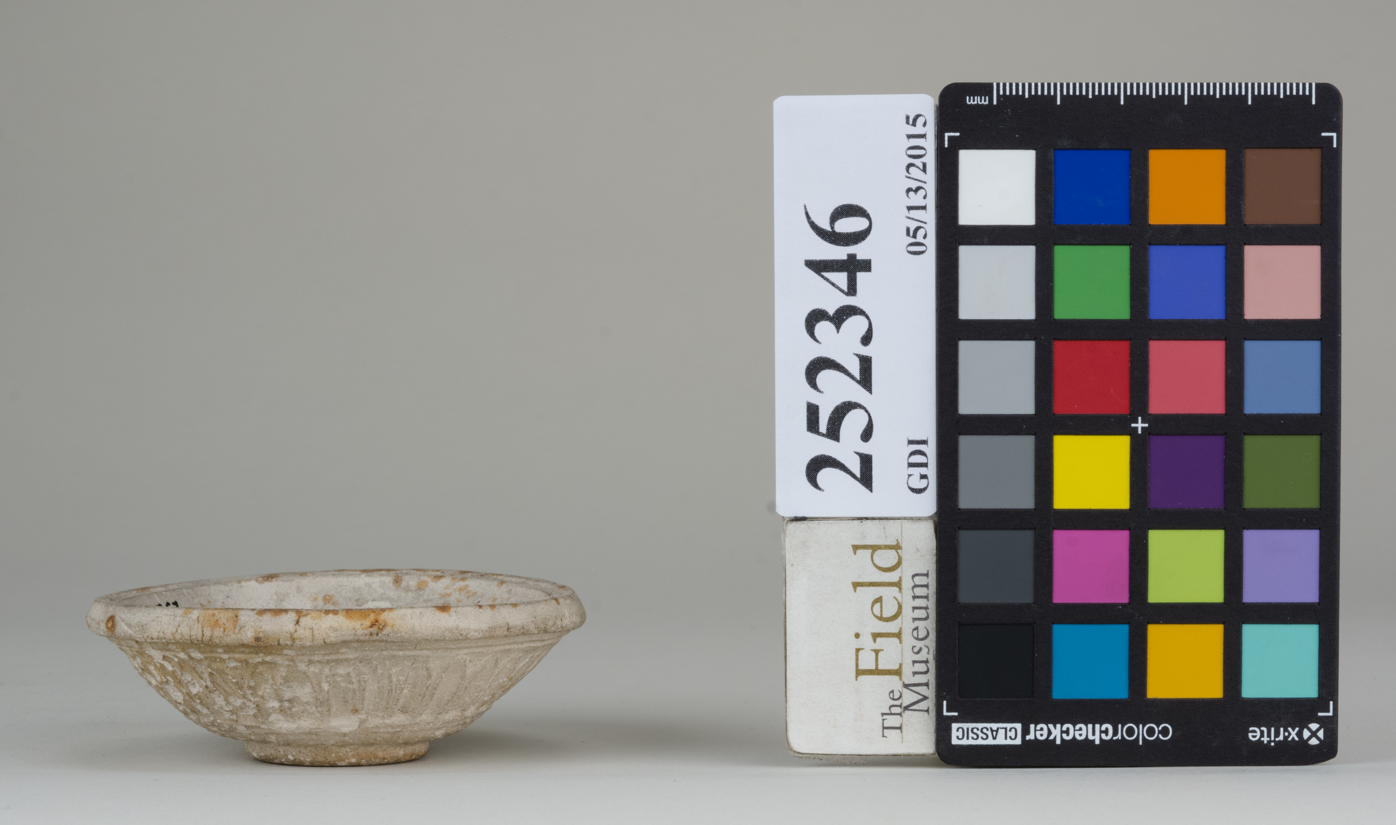 Left (c) Field Museum of Natural History - CC BY-NC 4.0