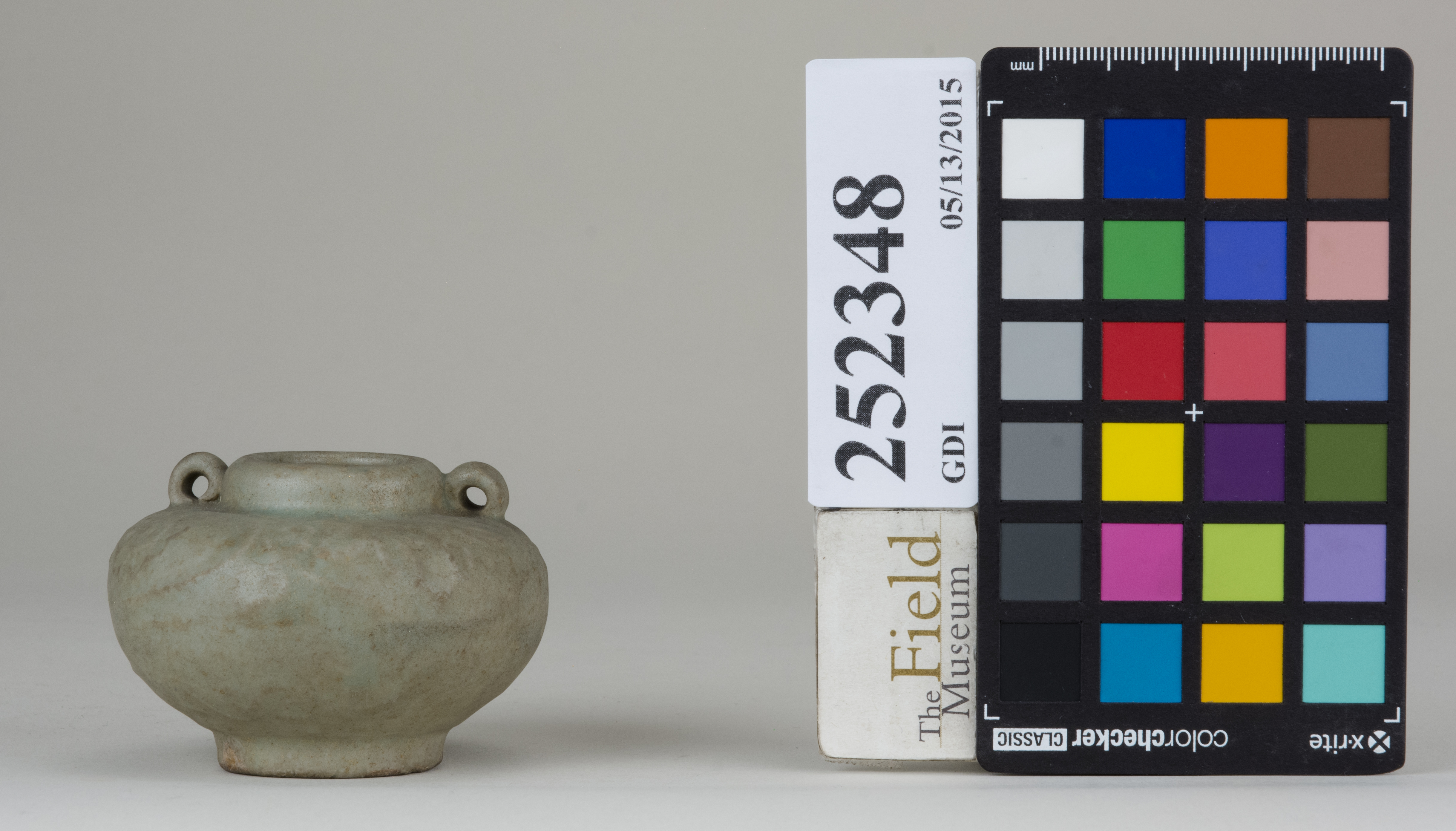 reference image, back (c) Field Museum of Natural History - CC BY-NC 4.0