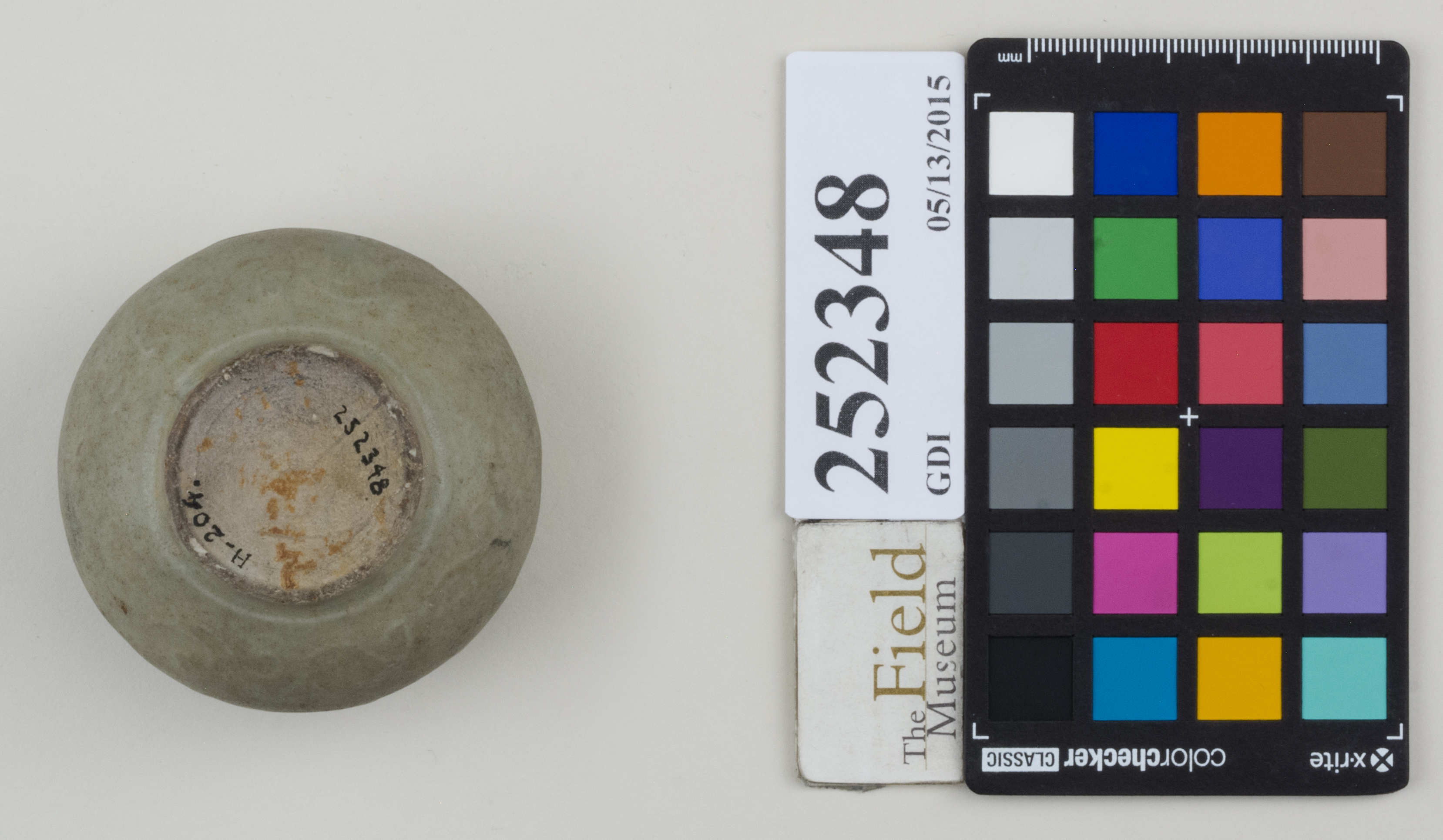 Bottom (c) Field Museum of Natural History - CC BY-NC 4.0