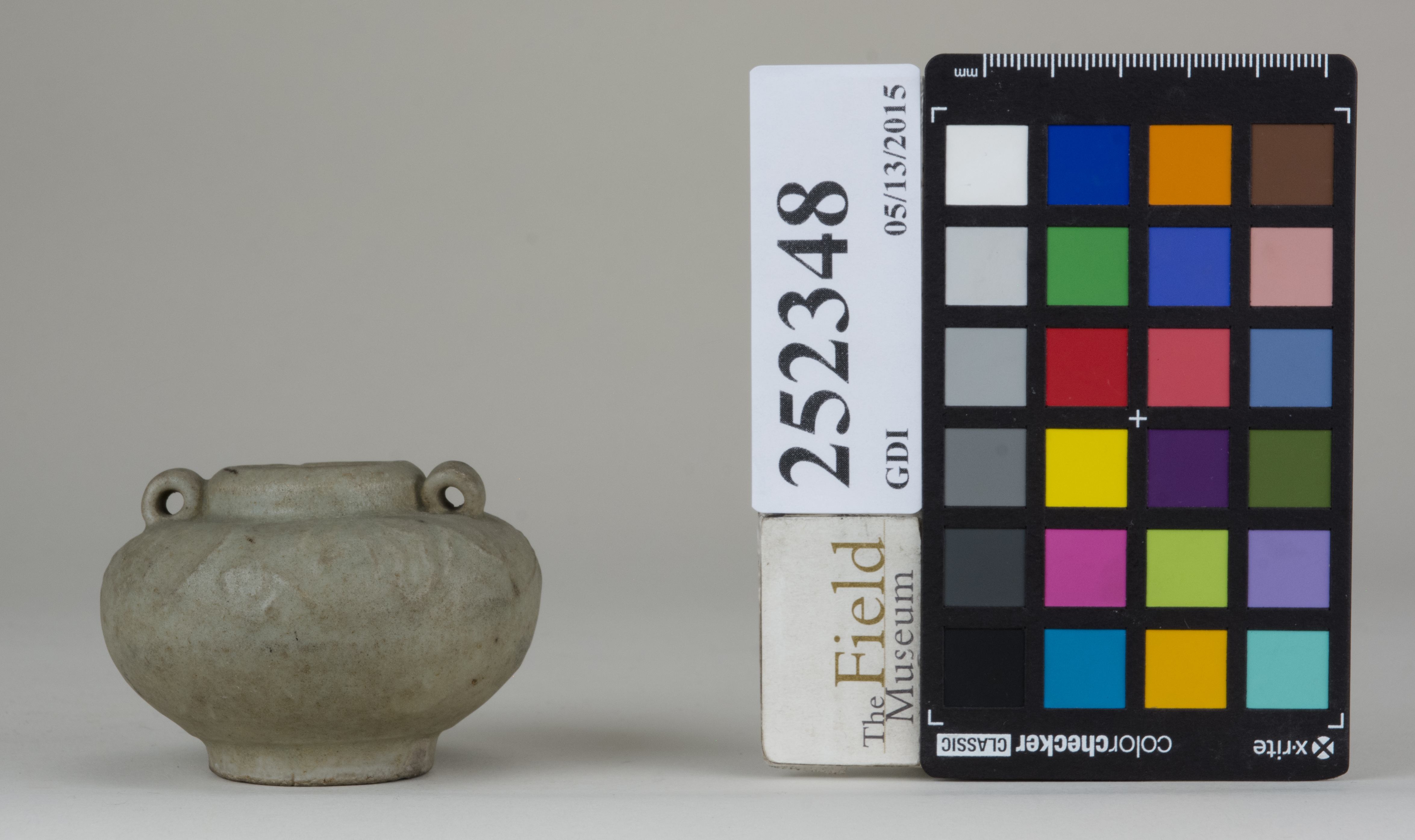 Front (c) Field Museum of Natural History - CC BY-NC 4.0